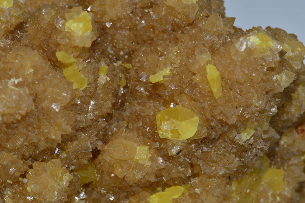 SULFUR (large cabinet)