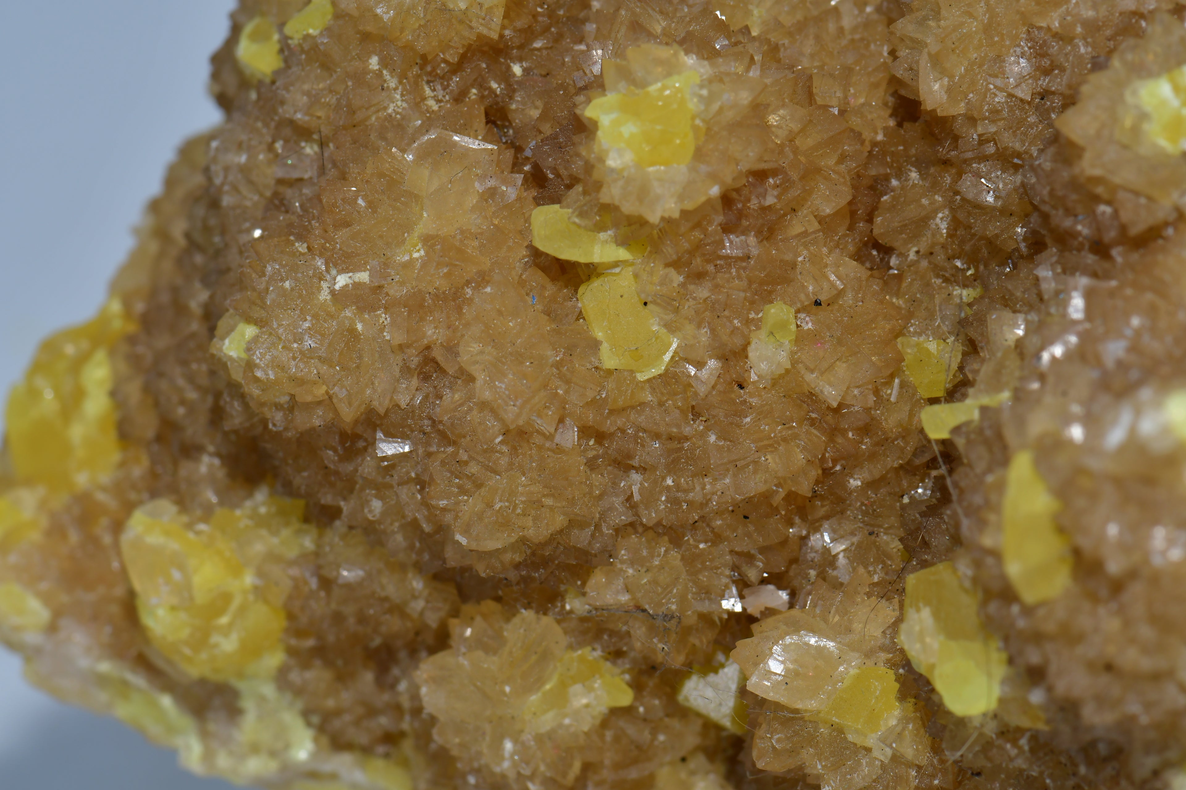 SULFUR (large cabinet)