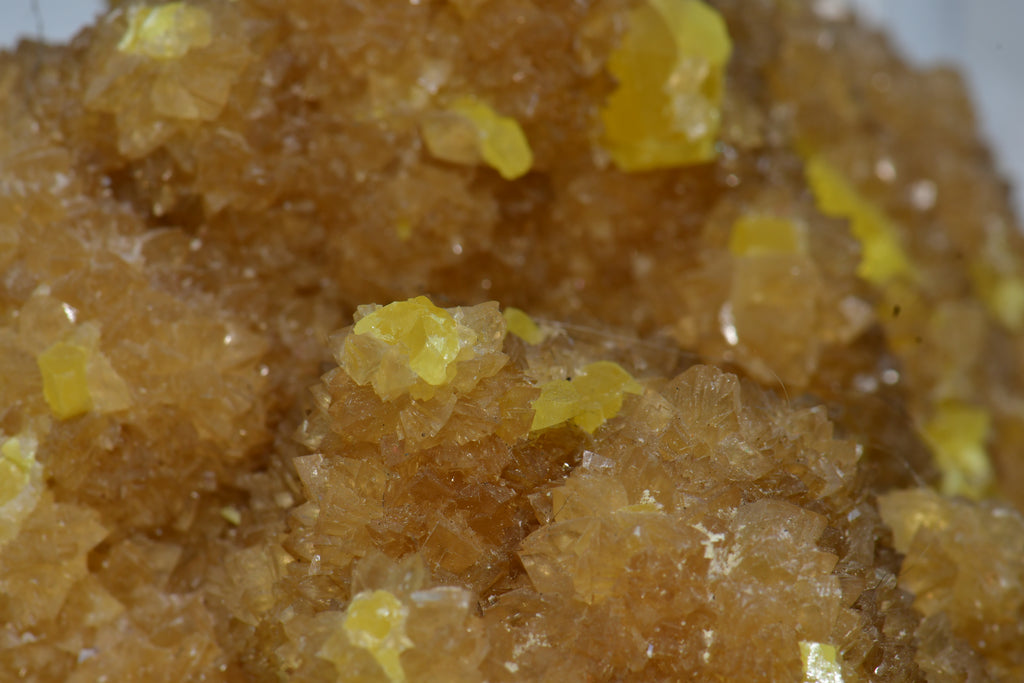 SULFUR (large cabinet)