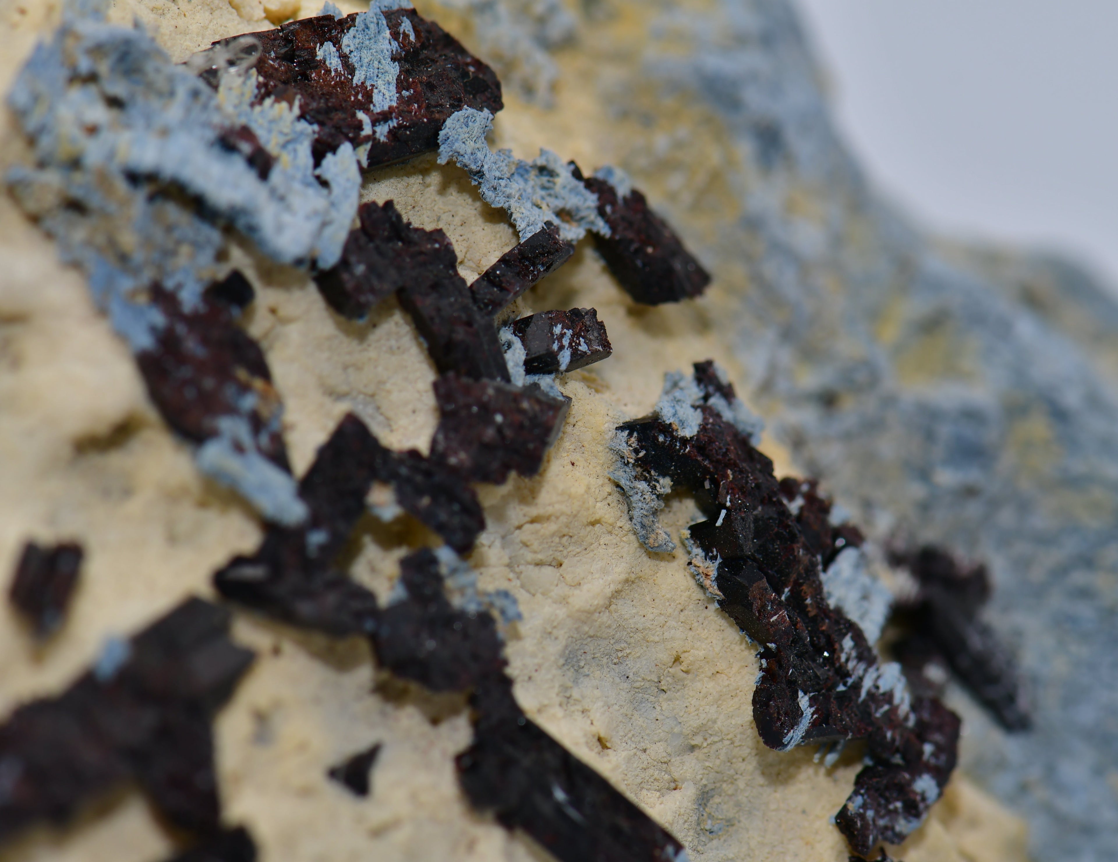 NEPTUNITE (VERY RARE) (large cabinet)