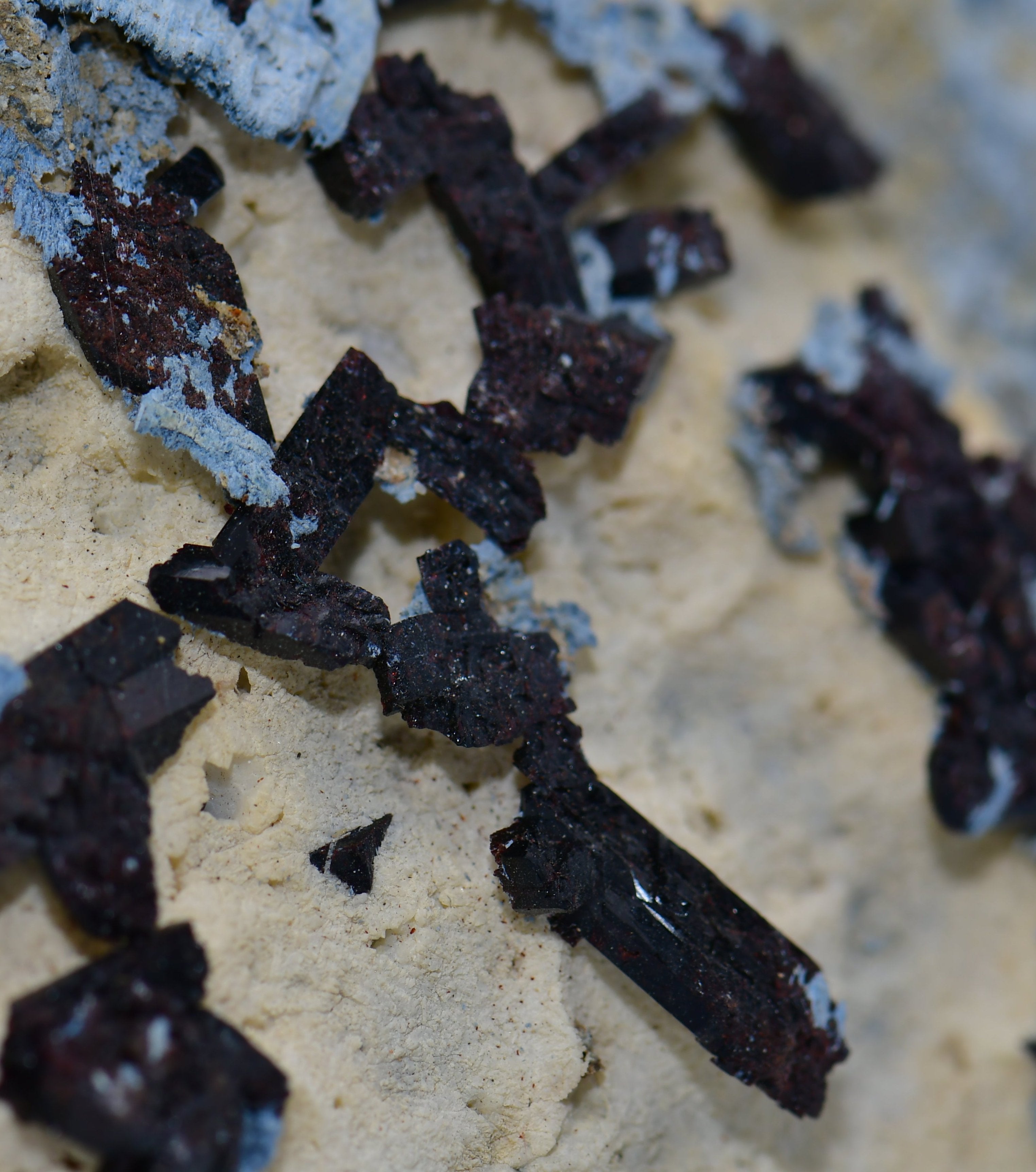 NEPTUNITE (VERY RARE) (large cabinet)