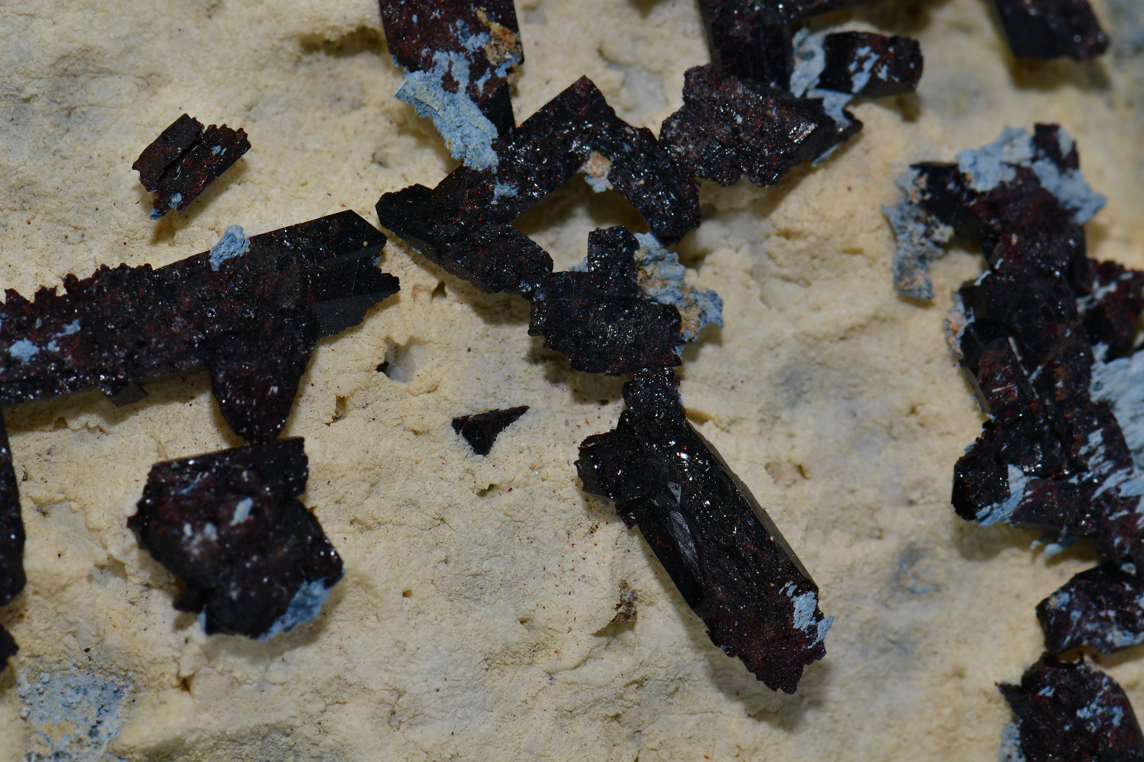 NEPTUNITE (VERY RARE) (large cabinet)