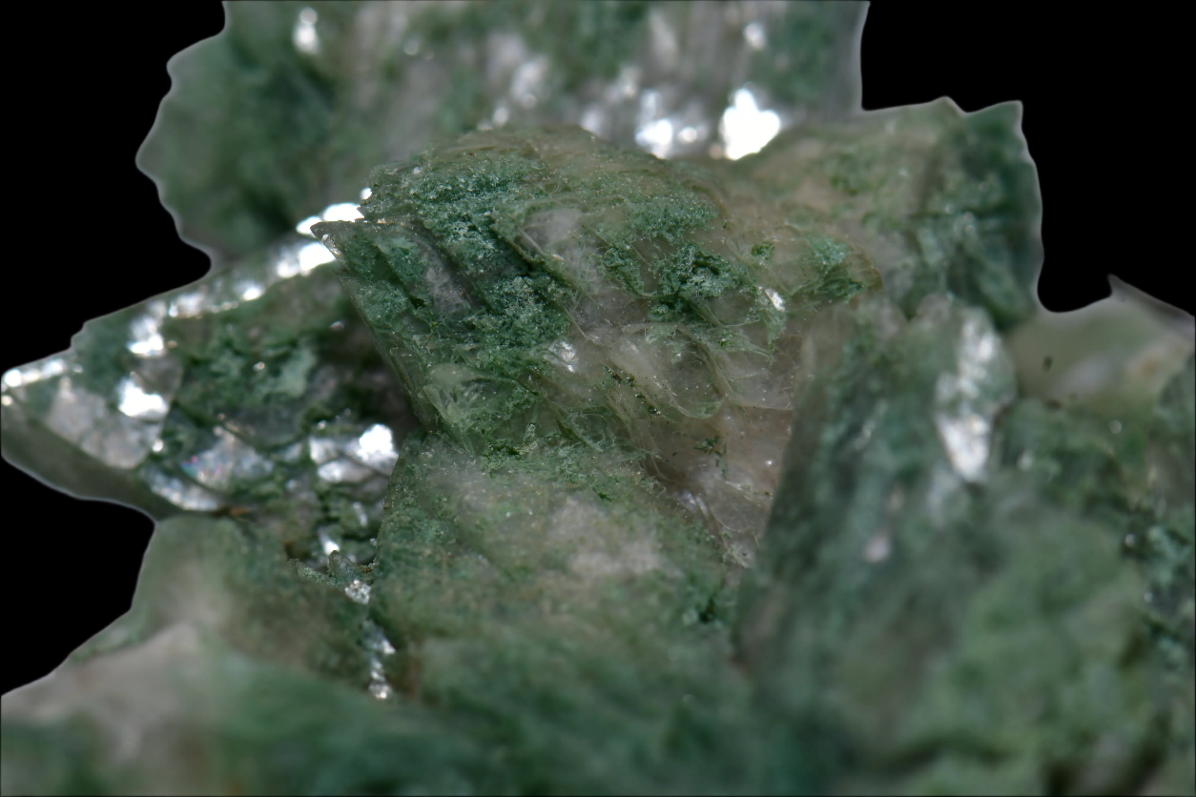 HEULANDITE (GREEN), AURANGABAD INDIA (cabinet)