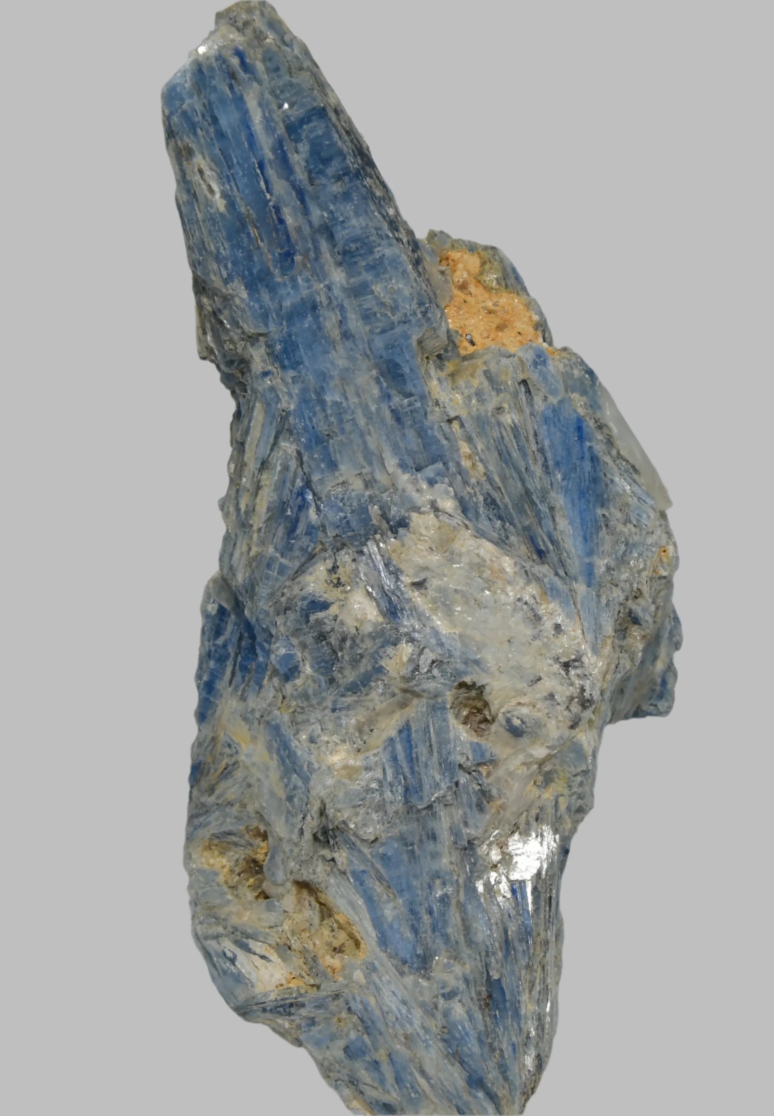 Kyanite mineral specimen with blue blade crystals and matrix, ideal for collectors and geology enthusiasts.