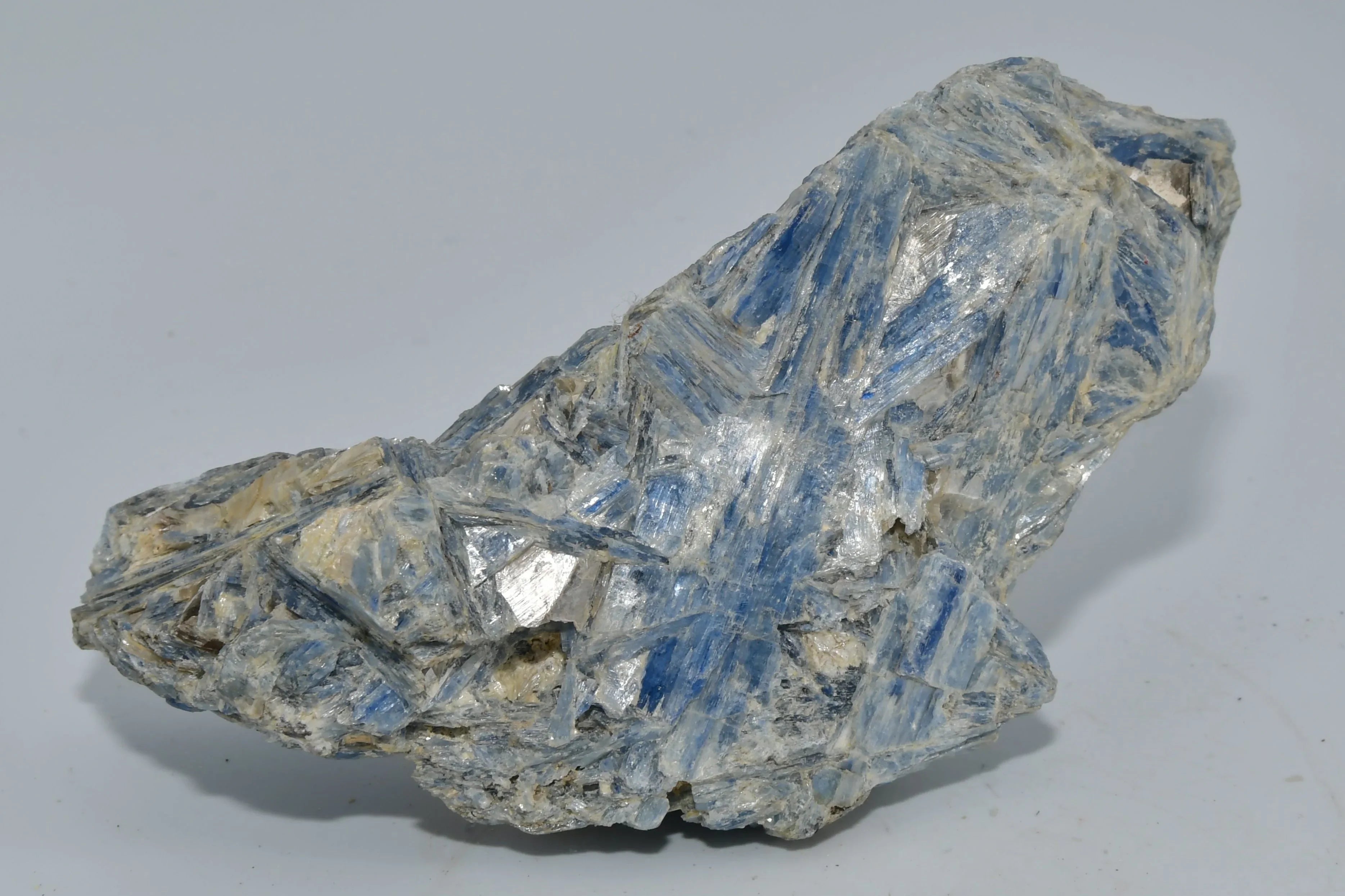 Kyanite mineral specimen with blue crystals on white matrix, natural geological formation