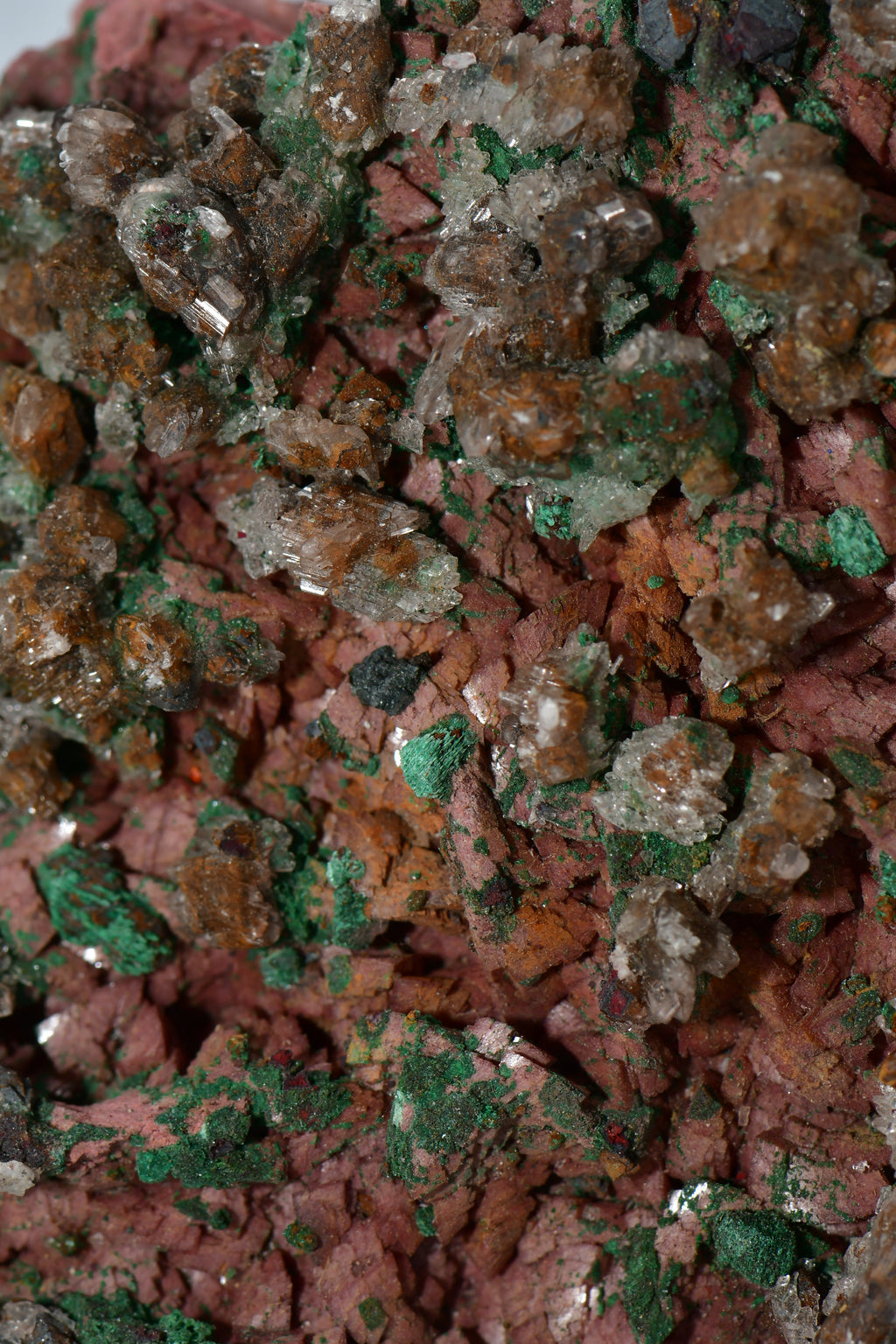CHALCOPHYLLITE, MALACHITE, CUPRITE   LARGE CABINET