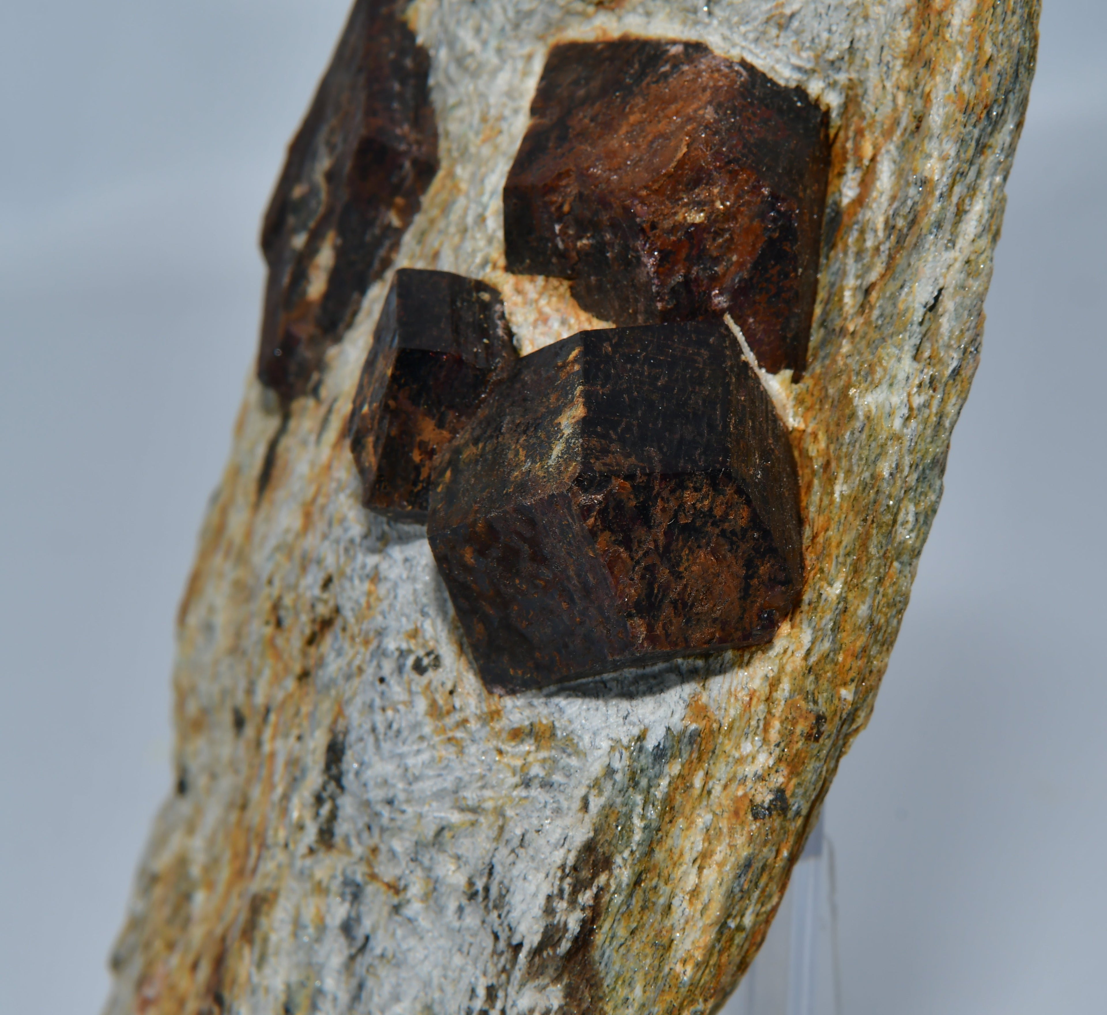 GARNET (SPESSARTINE) (large cabinet, 5 crystals)