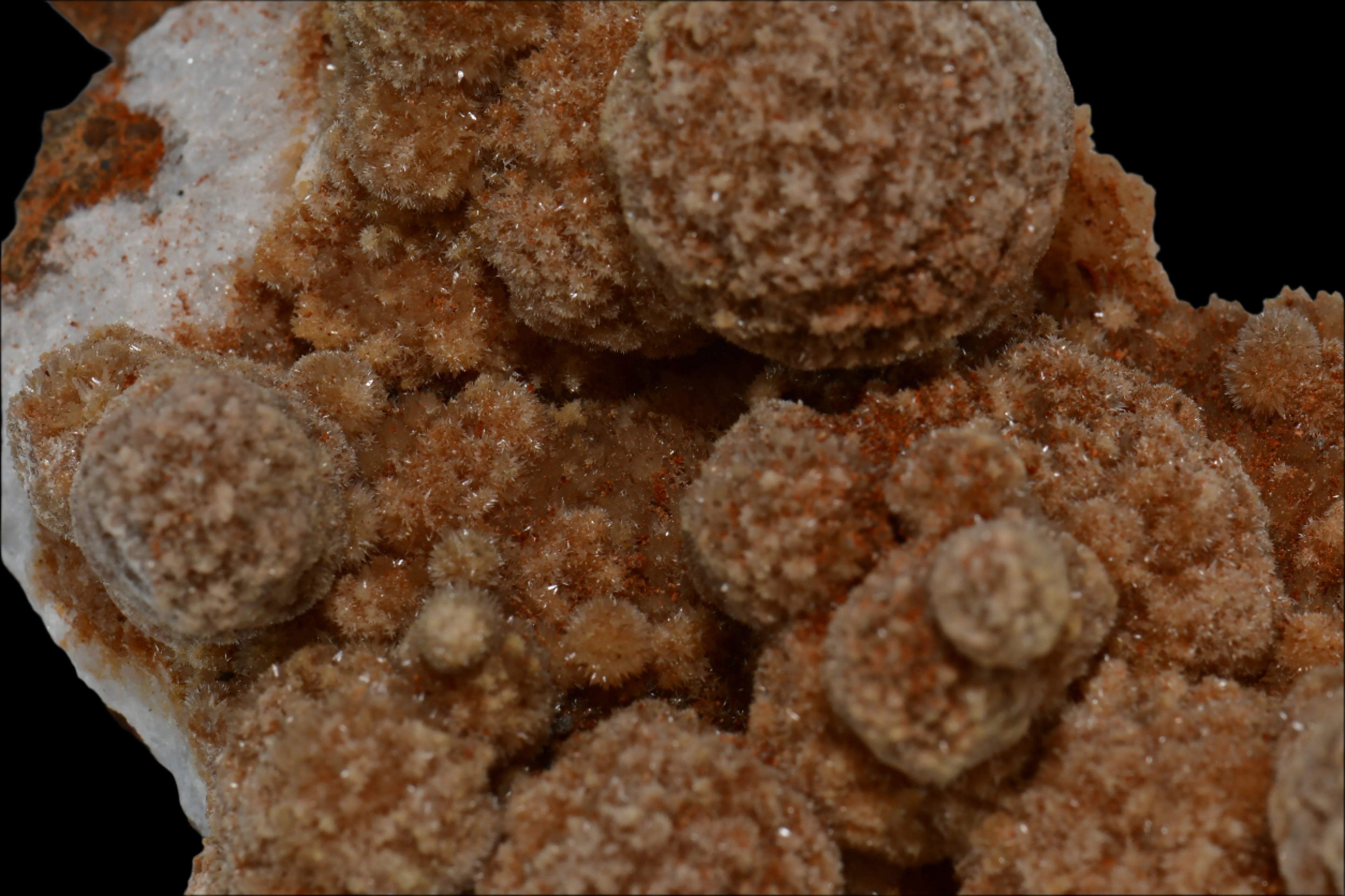 ARAGONITE (STALACTITES) (large cabinet)