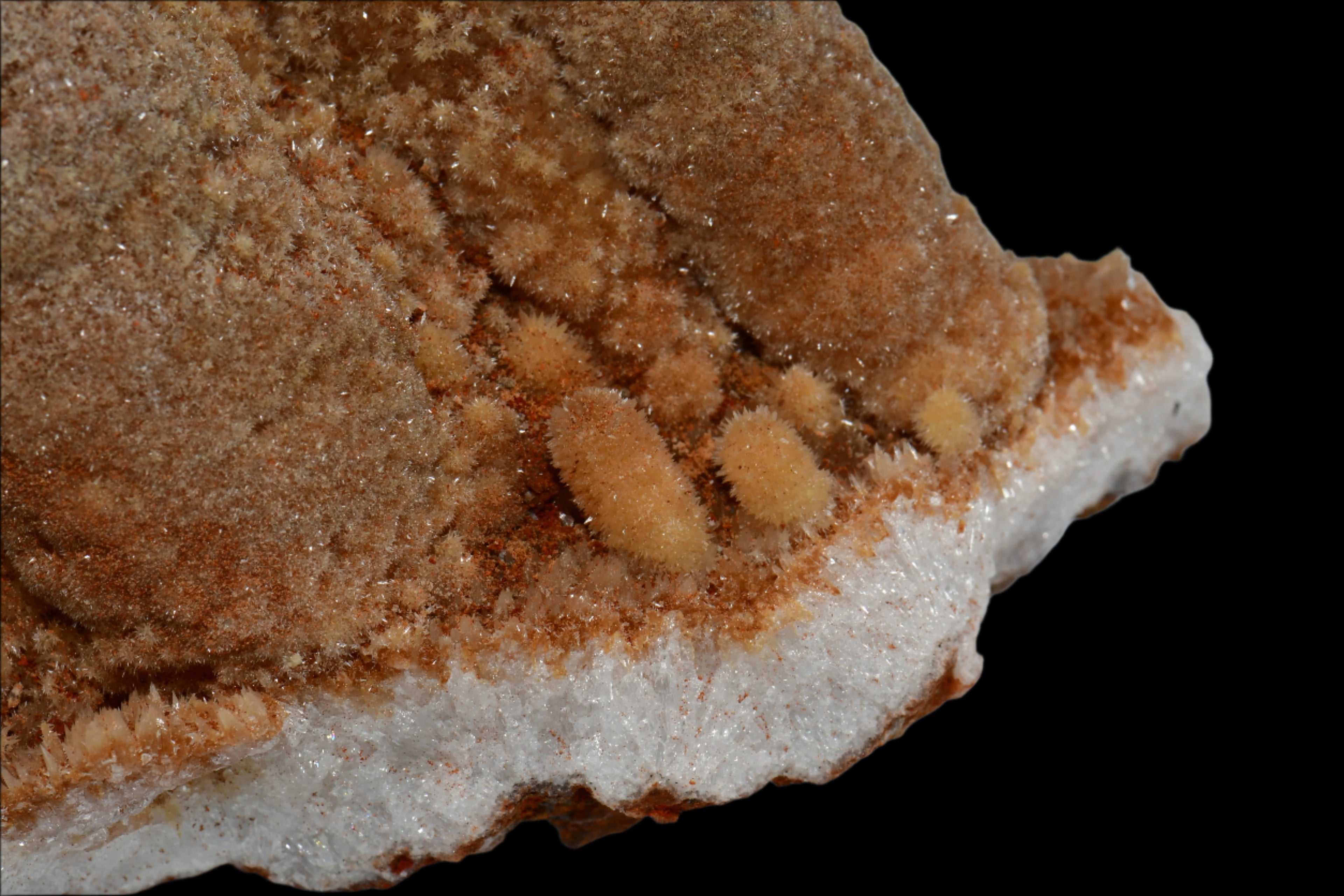 ARAGONITE (STALACTITES) (large cabinet)