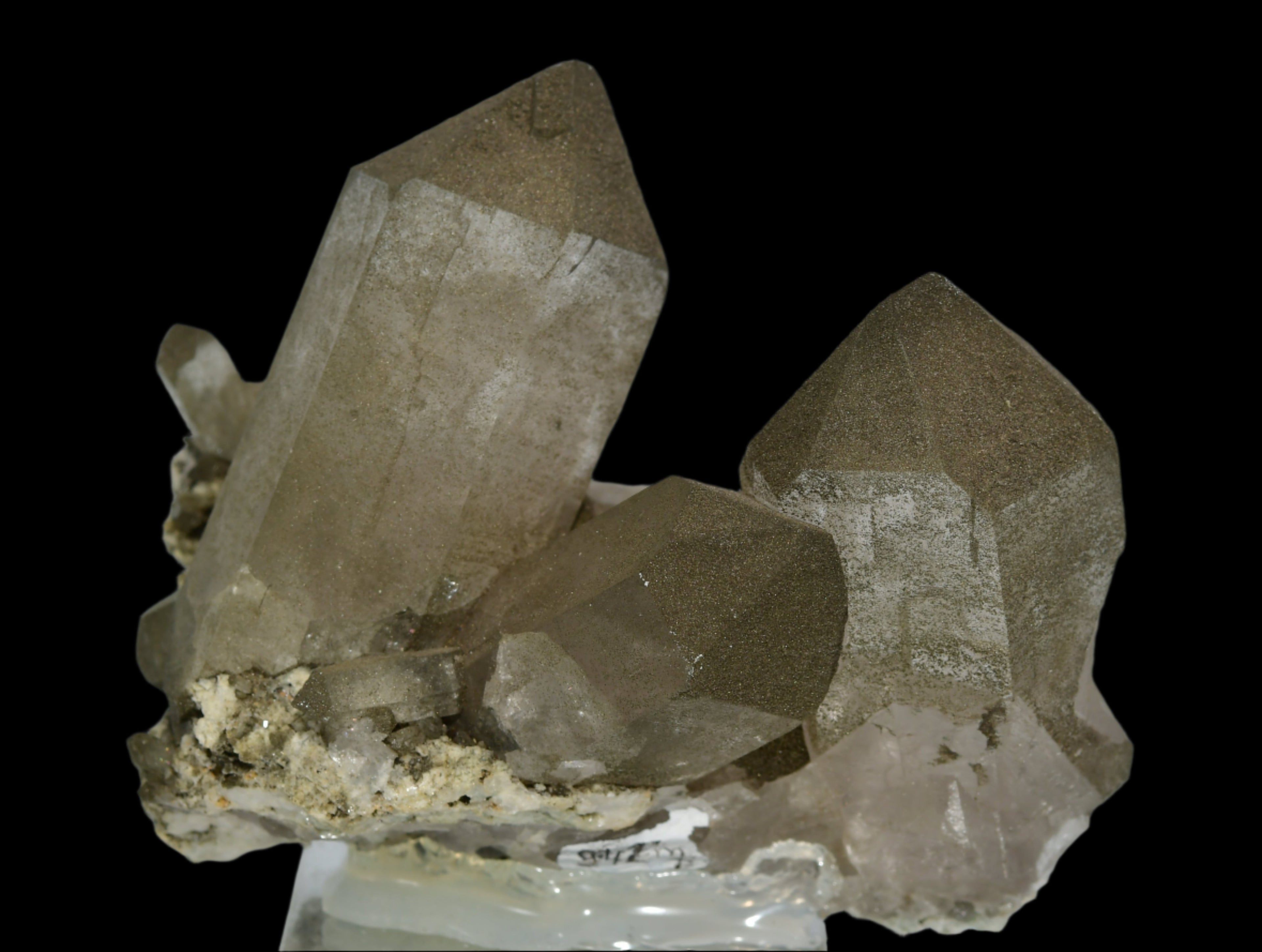 QUARTZ covered with CHLORITE (cabinet)