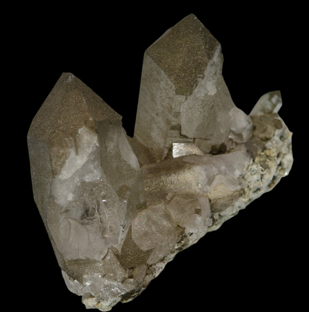 QUARTZ covered with CHLORITE (cabinet)