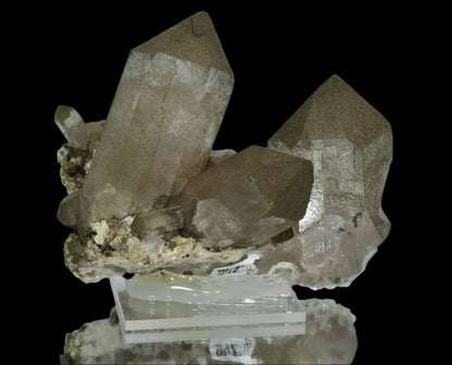 QUARTZ covered with CHLORITE