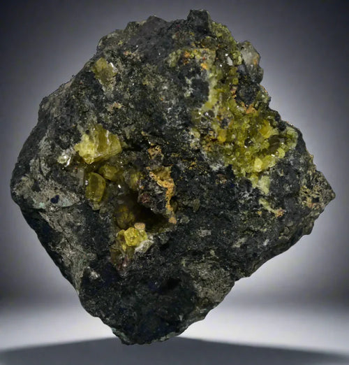 Wulfenite mineral specimen with vibrant yellow crystals on dark matrix, classic locality find