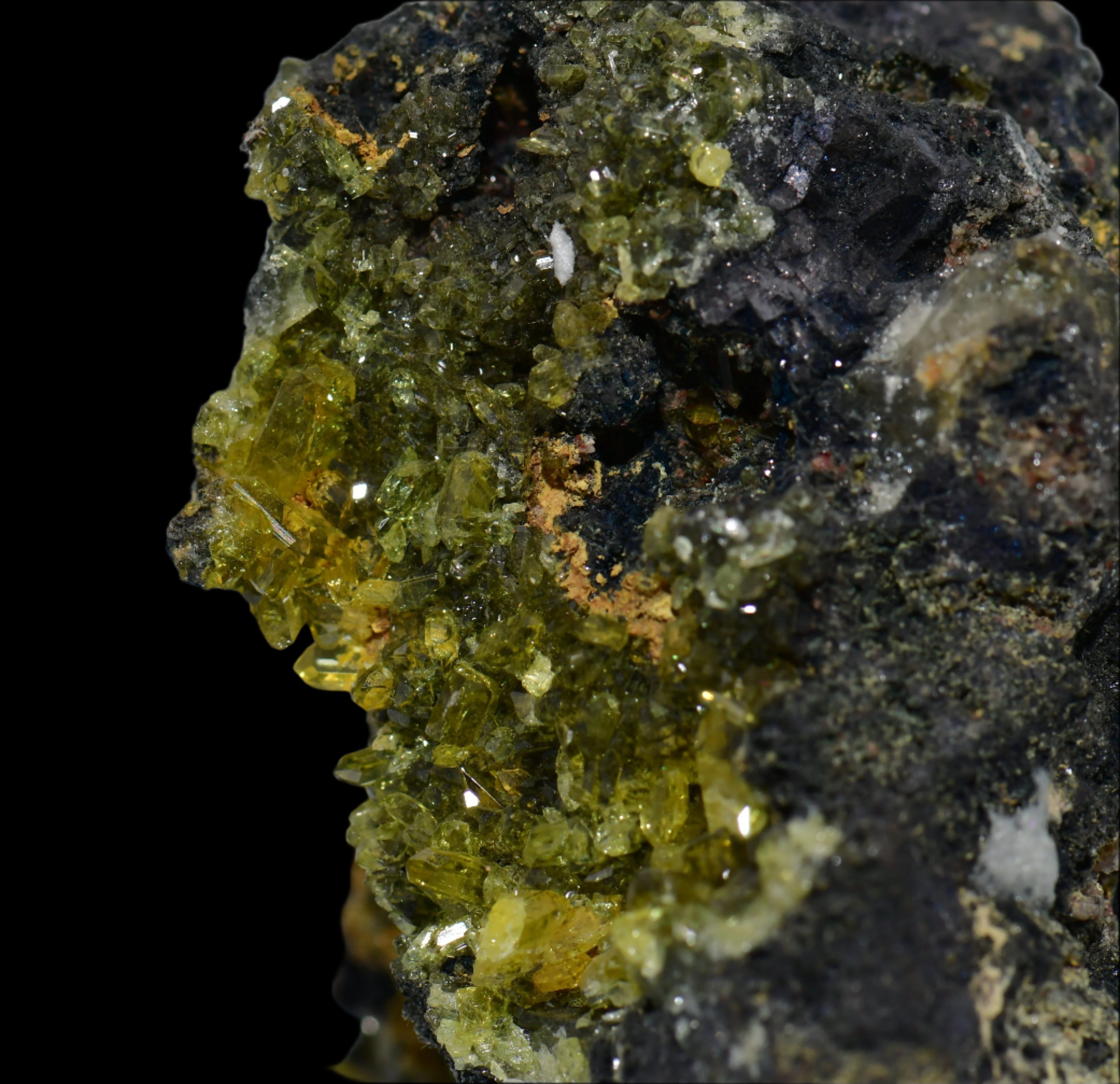 ANGLESITE (small cabinet)