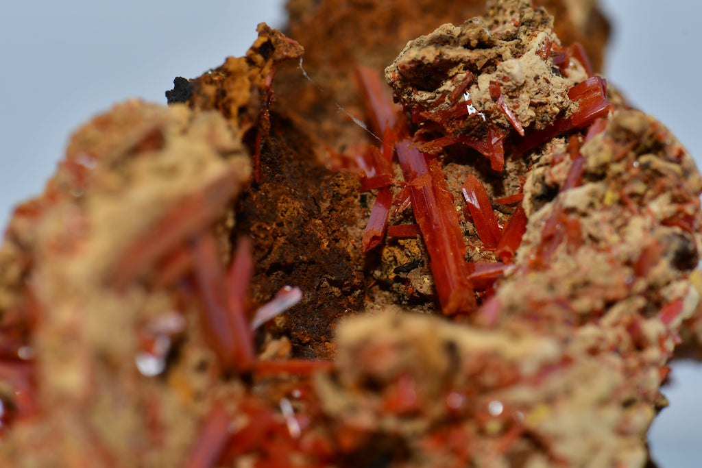 CROCOITE, Mine d'Adélaïde, Dundas, district de Zeehan, TASMANIE, AUSTRALIE (petite armoire)