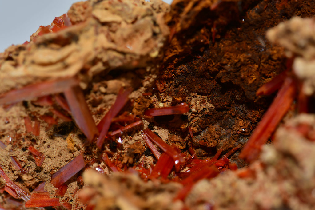 CROCOITE, Mine d'Adélaïde, Dundas, district de Zeehan, TASMANIE, AUSTRALIE (petite armoire)