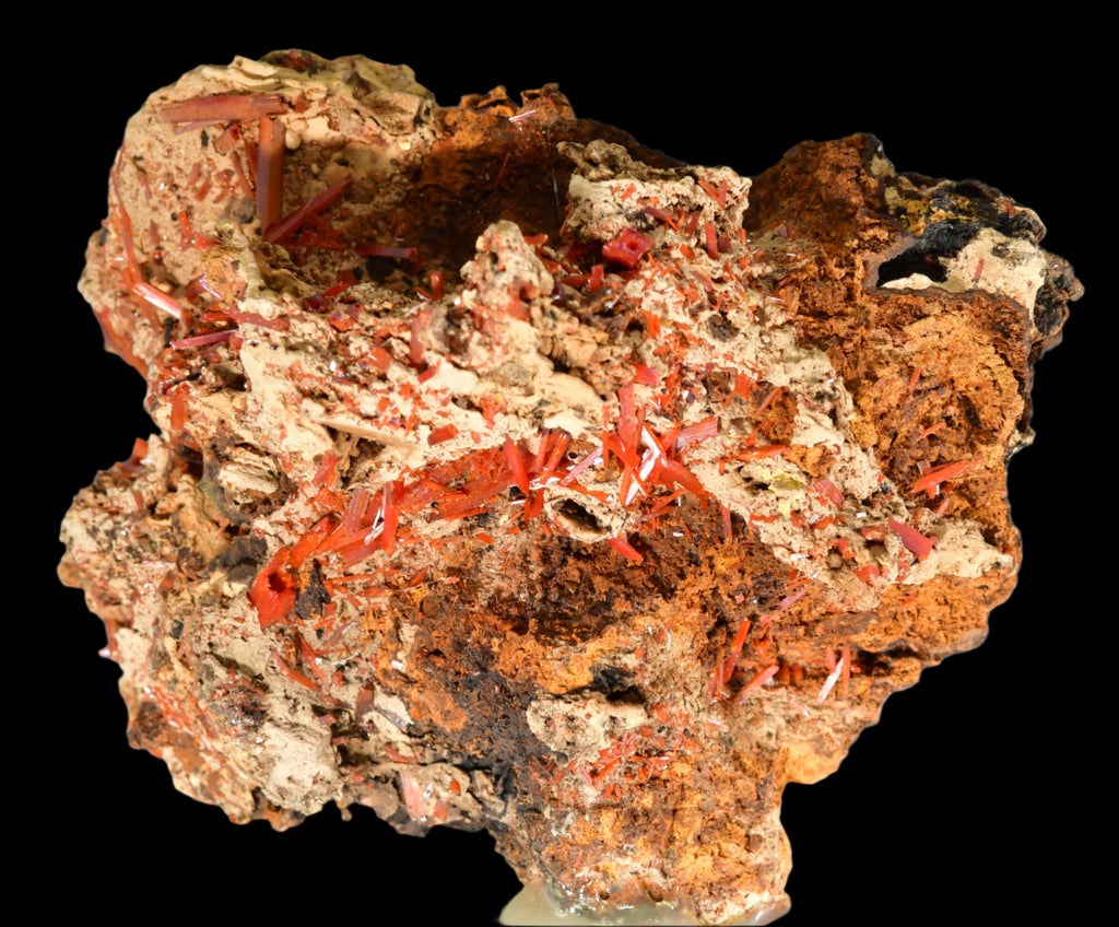 CROCOITE, Mine d'Adélaïde, Dundas, district de Zeehan, TASMANIE, AUSTRALIE (petite armoire)