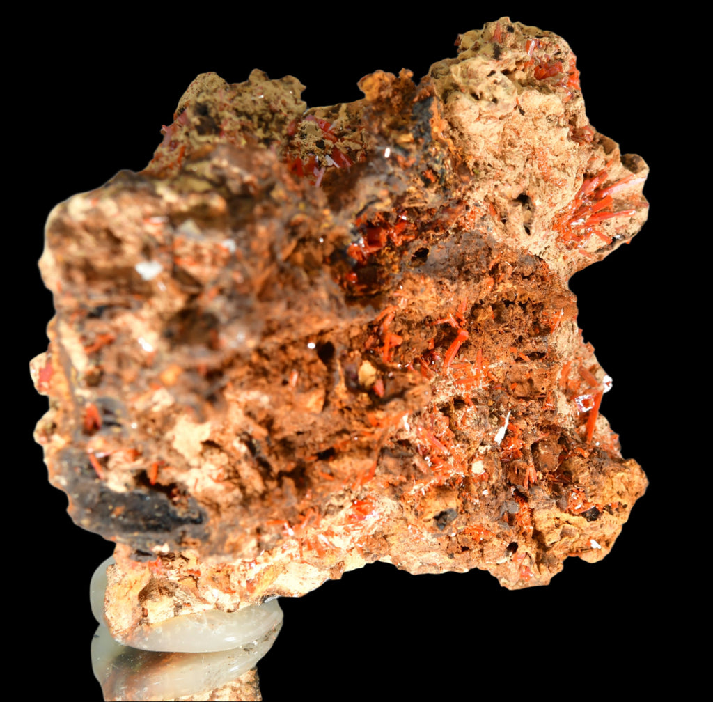CROCOITE, Mine d'Adélaïde, Dundas, district de Zeehan, TASMANIE, AUSTRALIE (petite armoire)