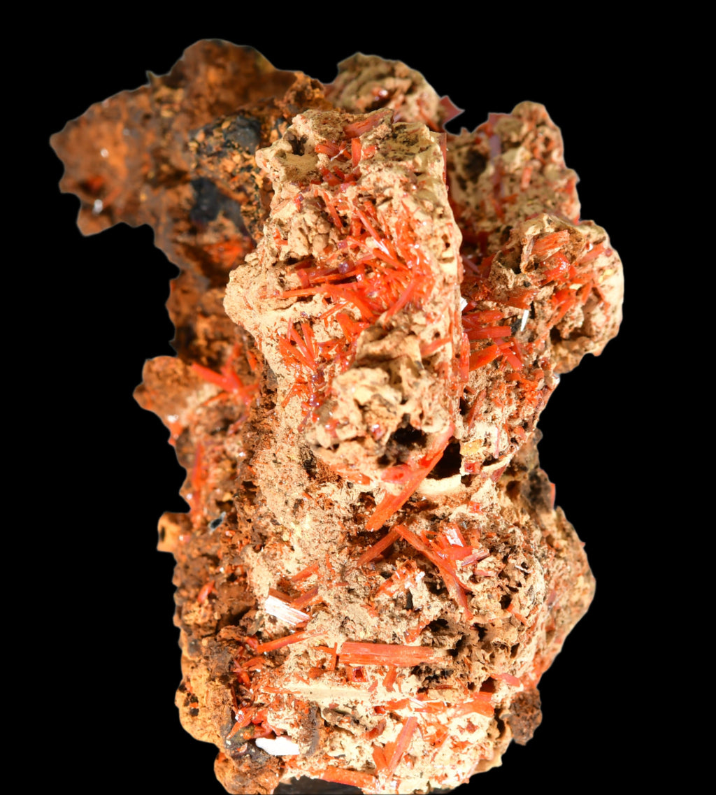 CROCOITE, Mine d'Adélaïde, Dundas, district de Zeehan, TASMANIE, AUSTRALIE (petite armoire)