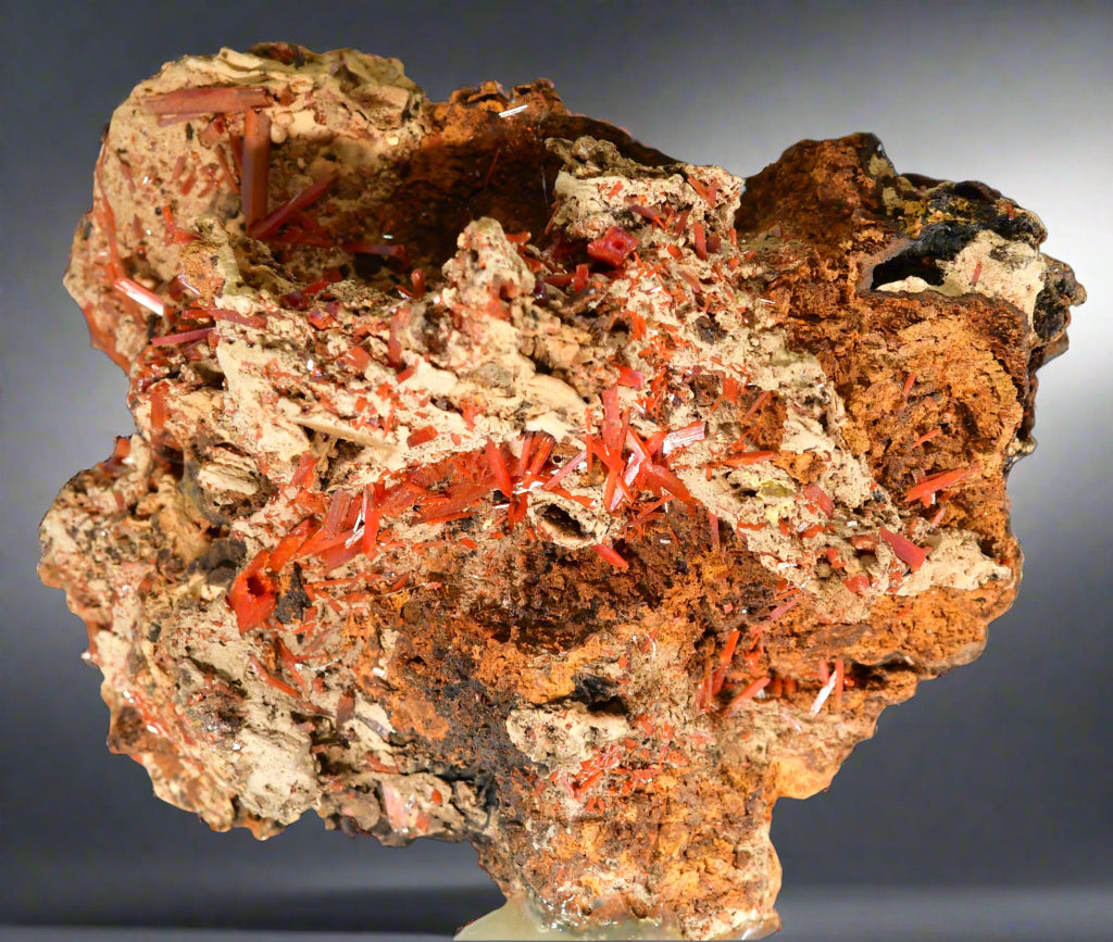 CROCOITE, Mine d'Adélaïde, Dundas, district de Zeehan, TASMANIE, AUSTRALIE (petite armoire)