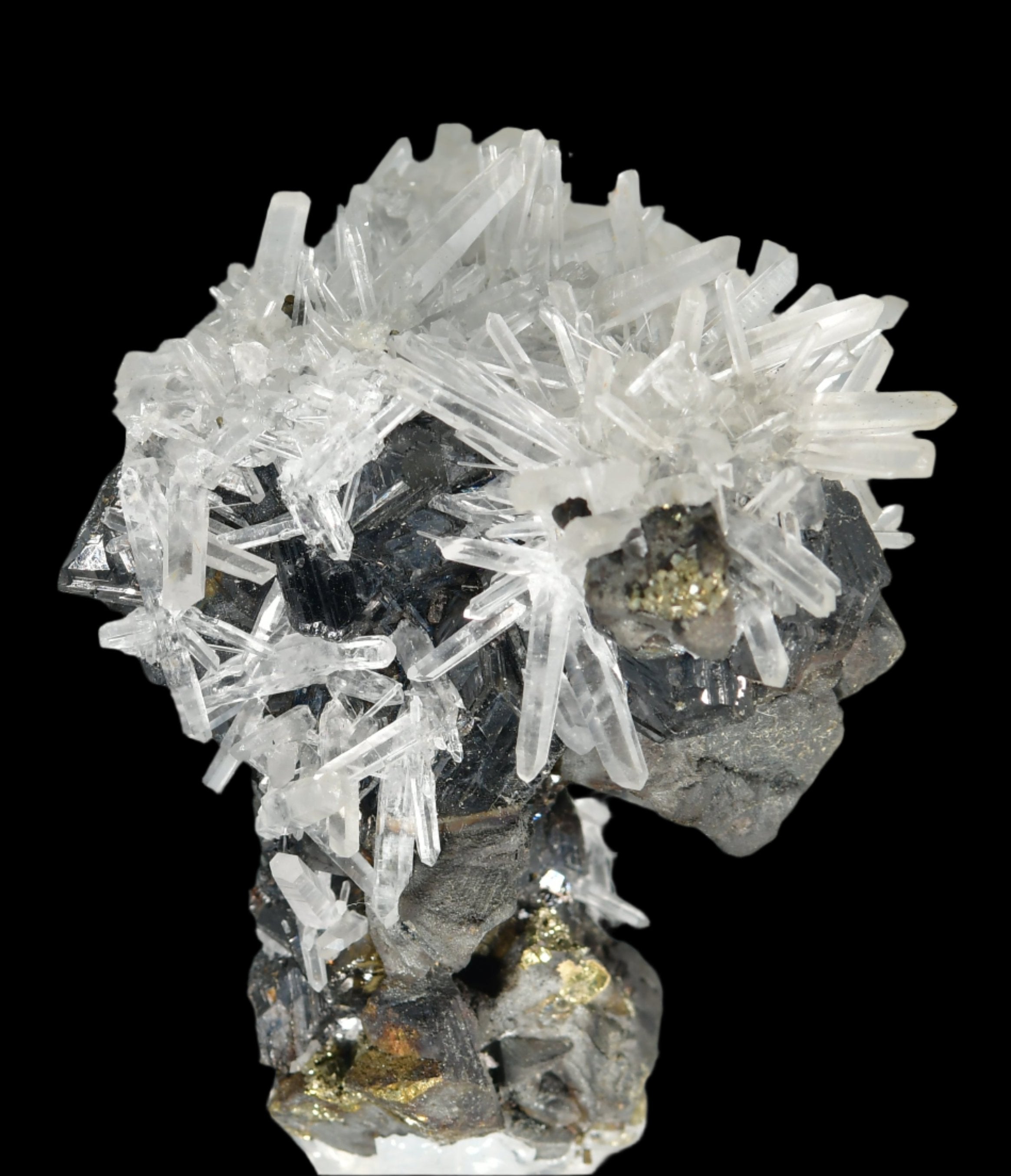 CHALCOPYRITE WITH NEEDLE QUARTZ  SMALL CABINET
