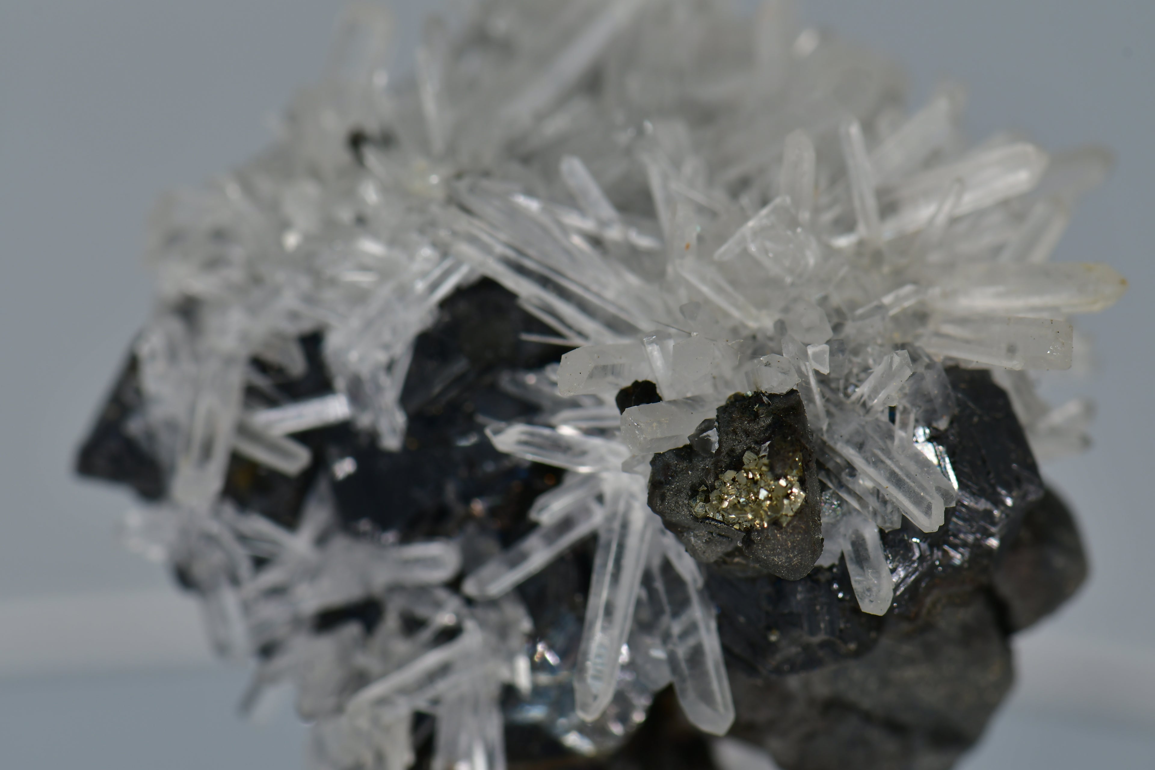 CHALCOPYRITE WITH NEEDLE QUARTZ  SMALL CABINET