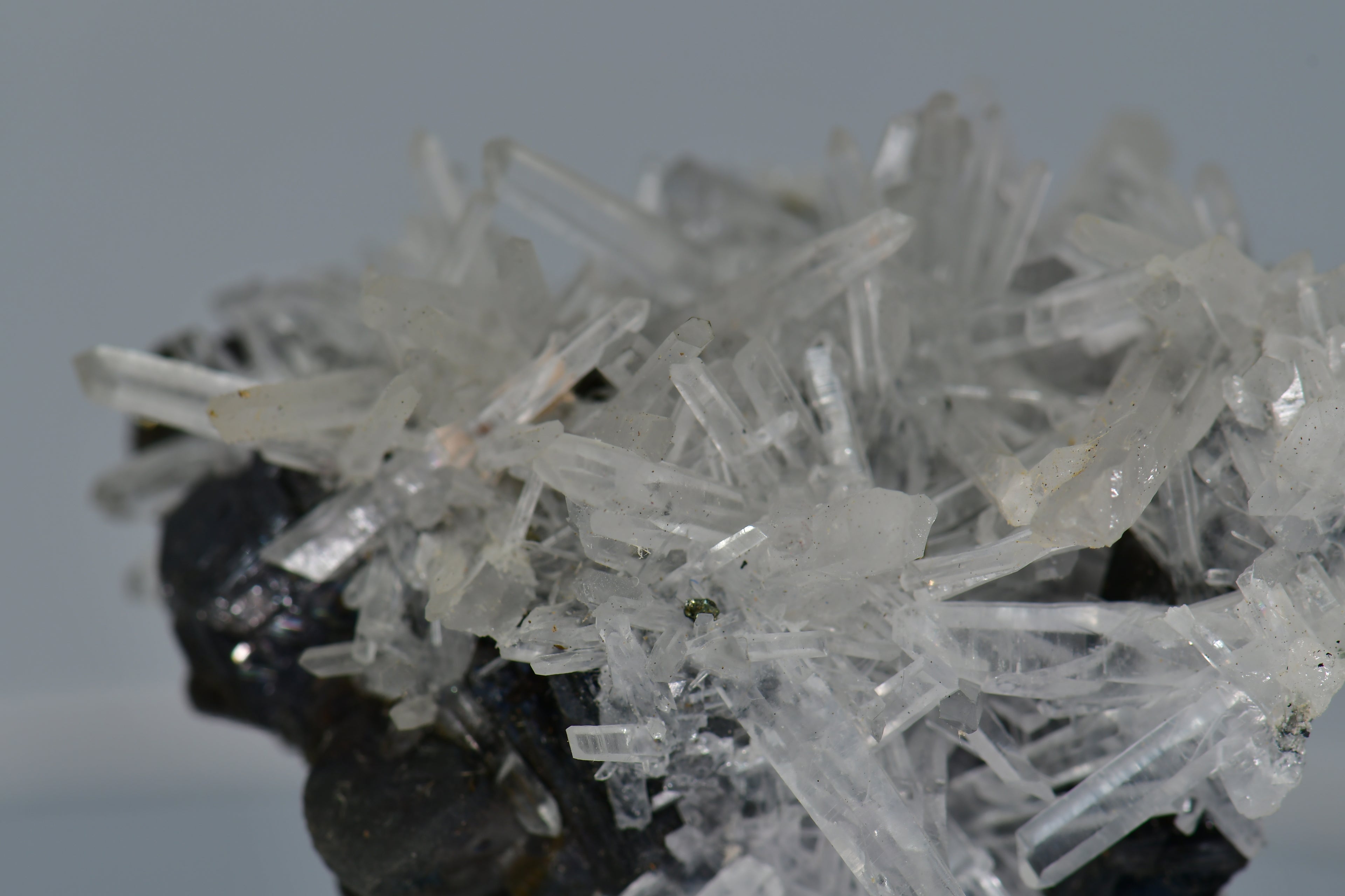 CHALCOPYRITE WITH NEEDLE QUARTZ  SMALL CABINET