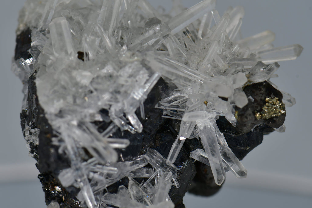 CHALCOPYRITE WITH NEEDLE QUARTZ  SMALL CABINET