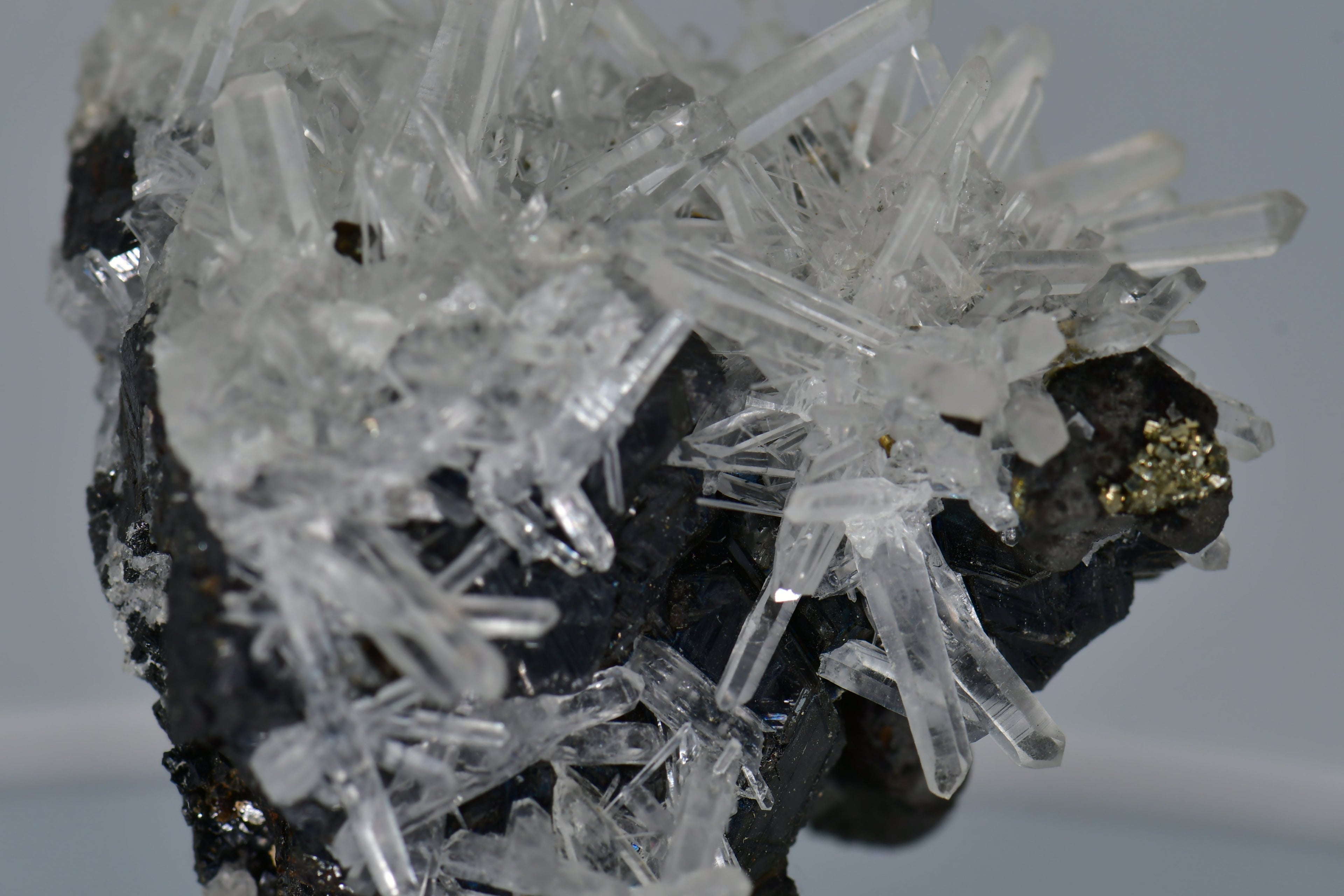 CHALCOPYRITE WITH NEEDLE QUARTZ  SMALL CABINET