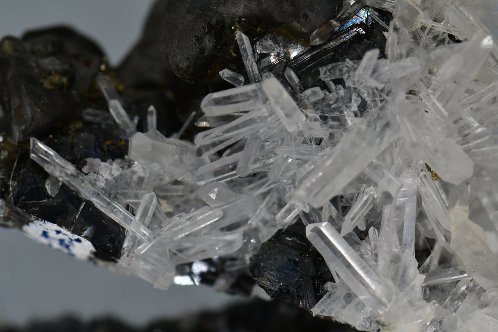 CHALCOPYRITE WITH NEEDLE QUARTZ  SMALL CABINET