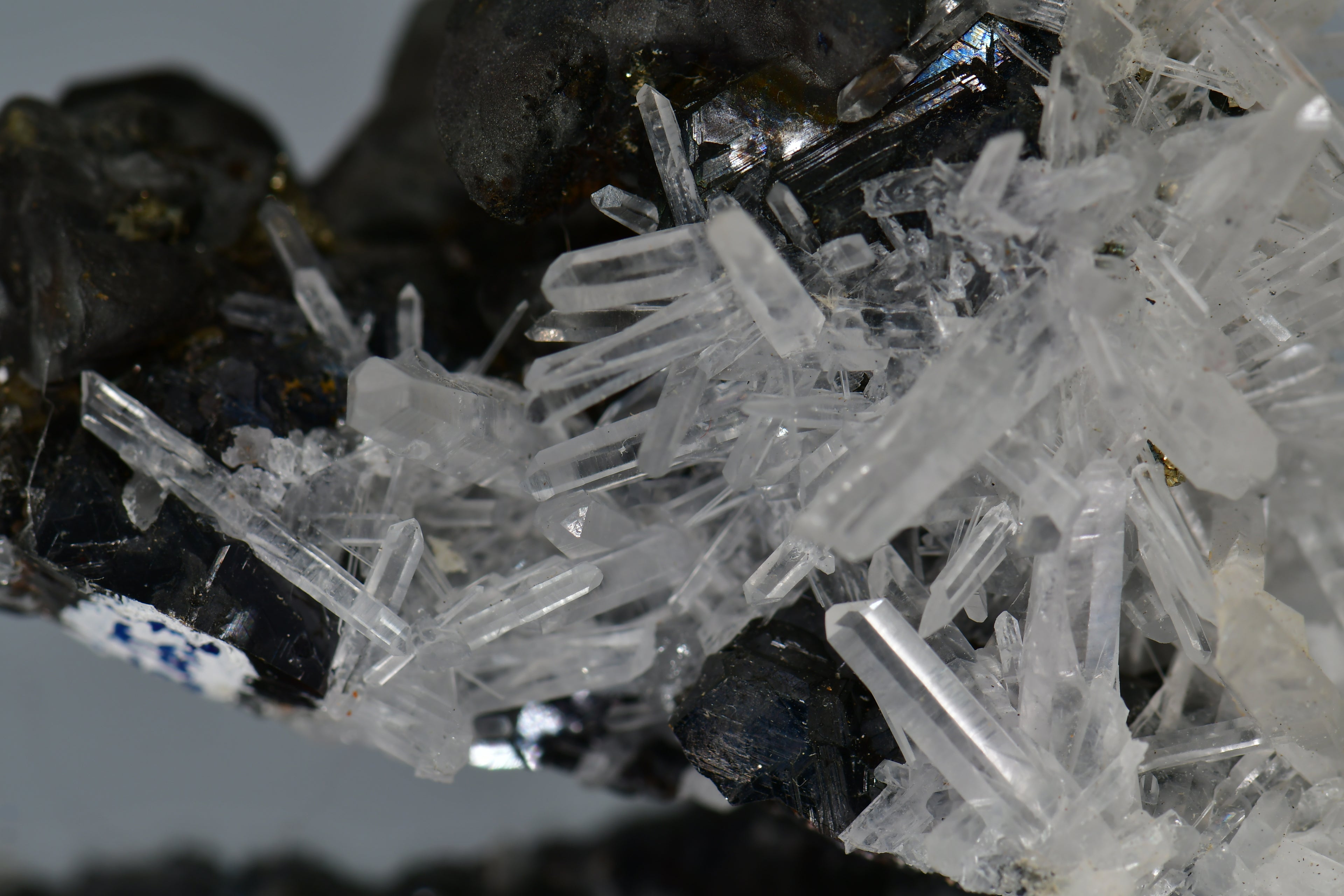 CHALCOPYRITE WITH NEEDLE QUARTZ  SMALL CABINET