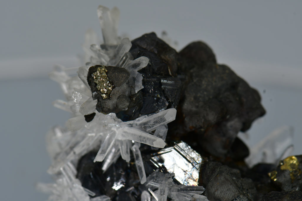 CHALCOPYRITE WITH NEEDLE QUARTZ  SMALL CABINET