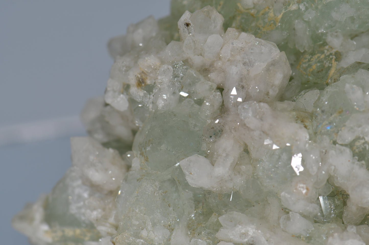 DATOLITE with QUARTZ