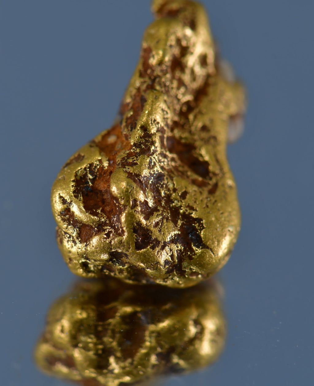 GOLD with QUARTZ (thumbnail) 4.48 grams