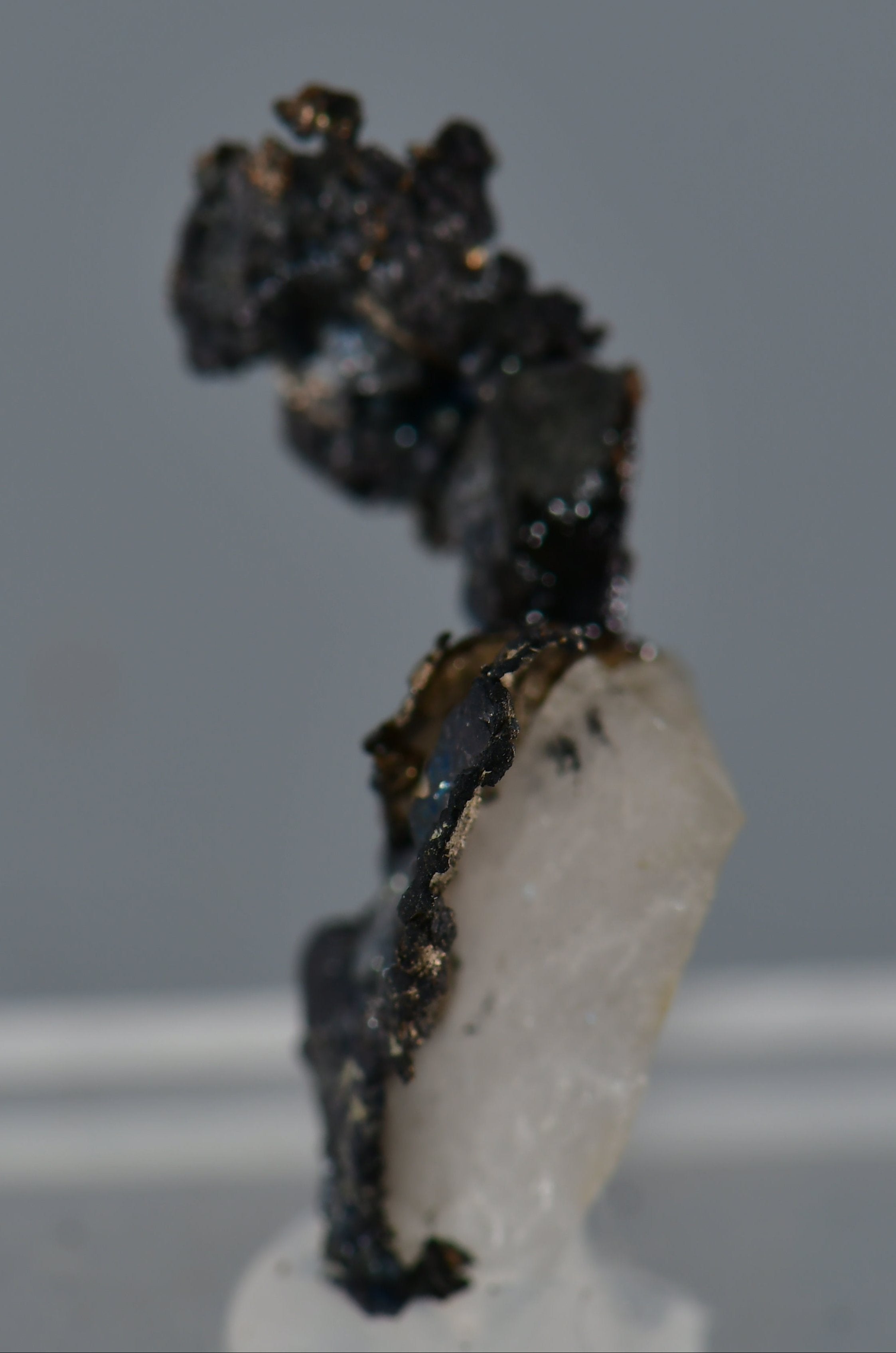 SILVER with PLATINUM (thumbnail)