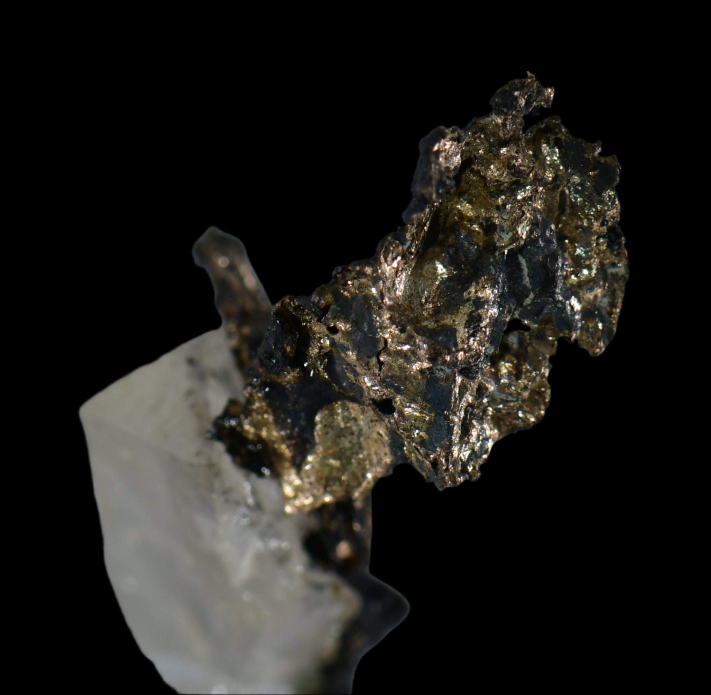 SILVER with PLATINUM (thumbnail)