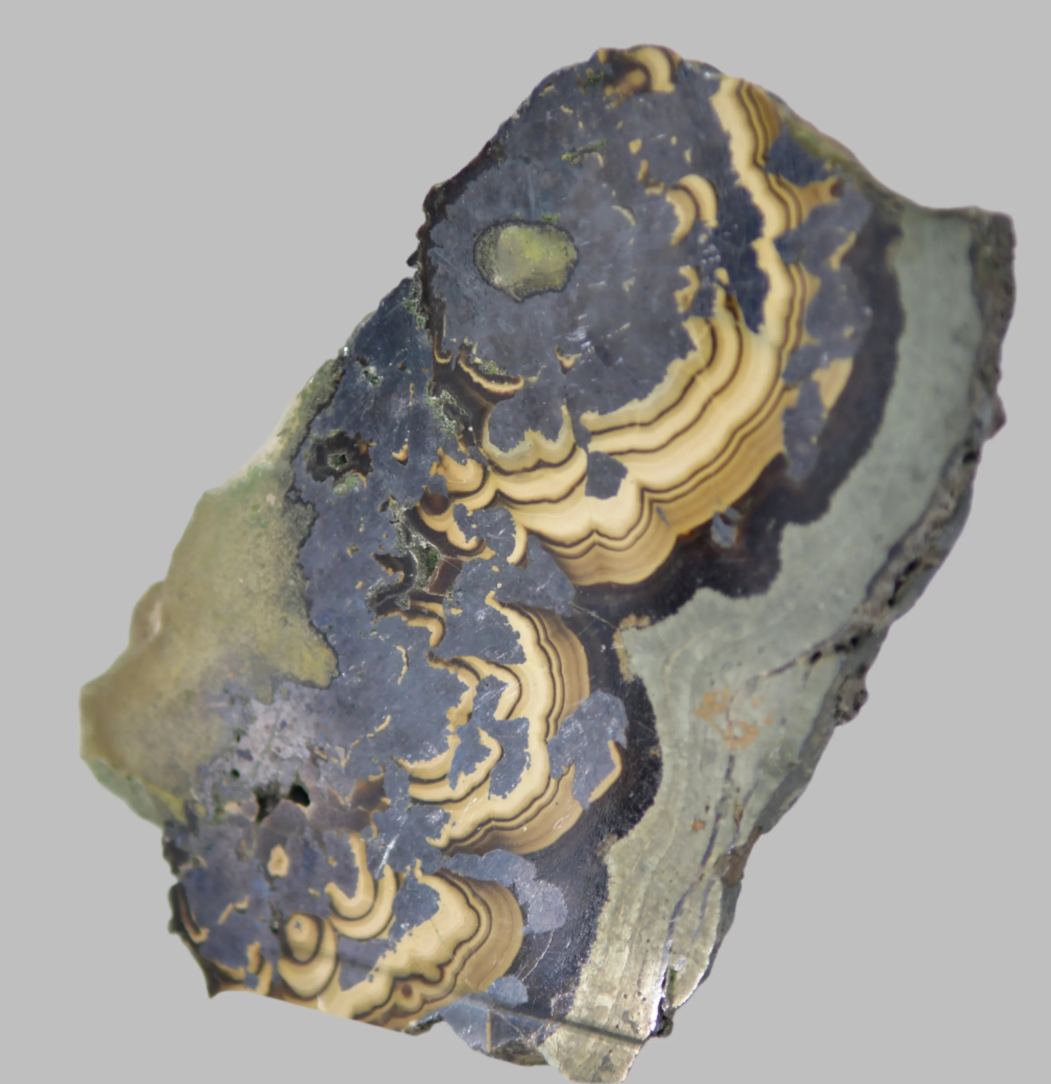 Banded agate specimen with intricate yellow and dark layers, natural mineral specimen for collectors