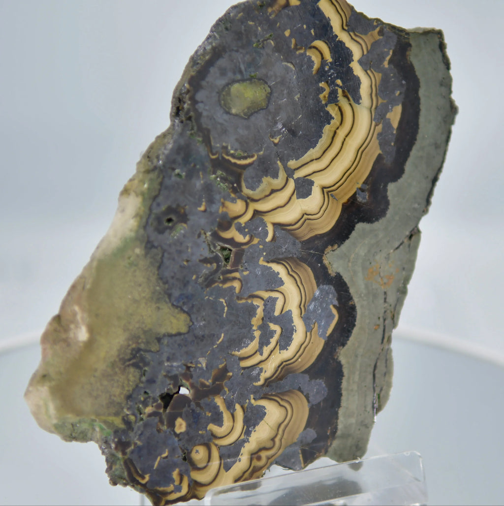 Banded Agate Specimen with Wavy Yellow and Black Layers, Geological Collectible