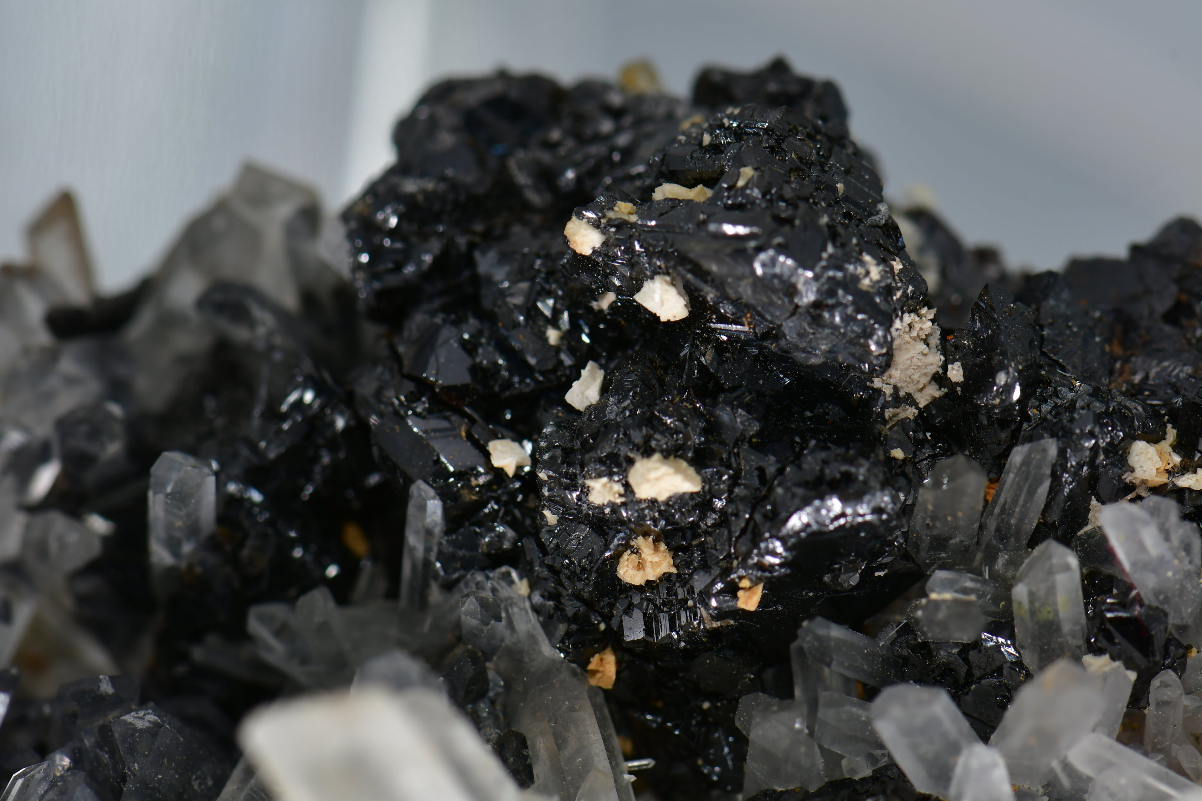 CHALCOPYRITE, QUARTZ, MANGANOCALCITE  CABINET