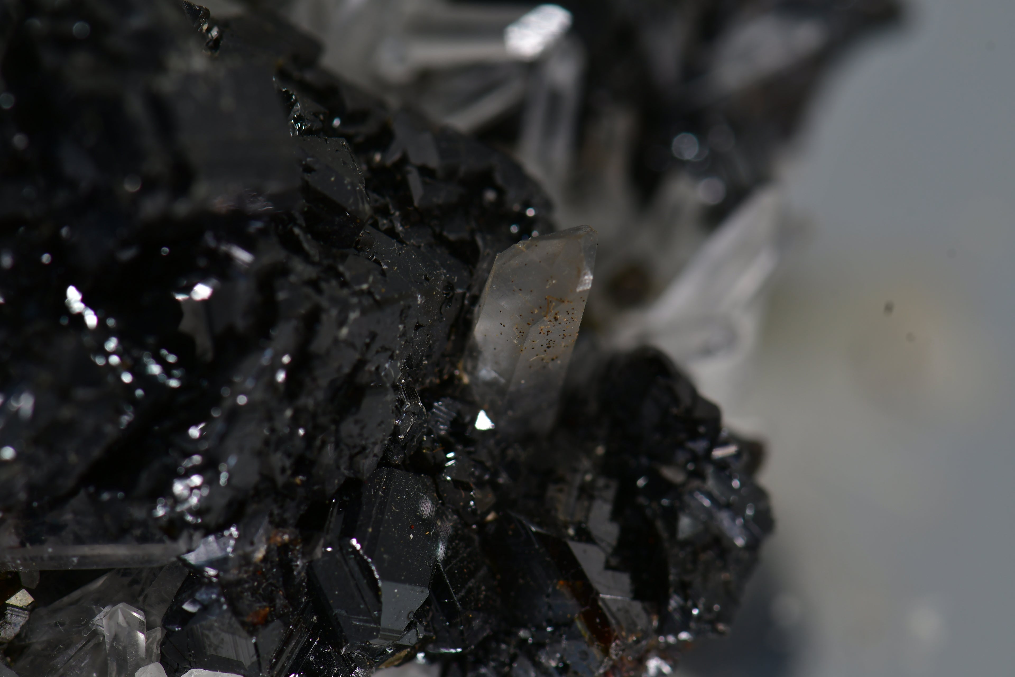 CHALCOPYRITE, QUARTZ, MANGANOCALCITE  CABINET