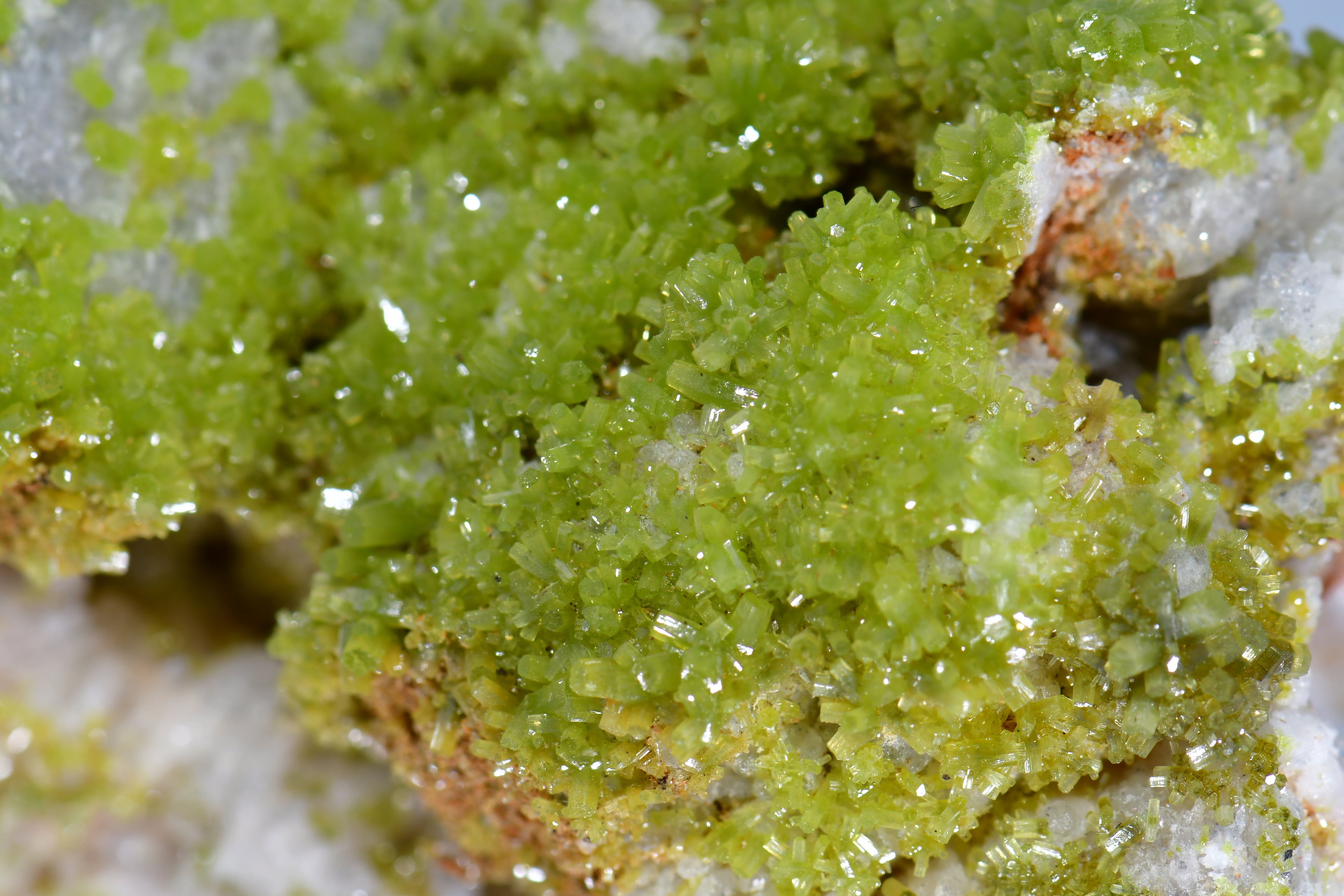 PYROMORPHITE (THOUSANDS OF BRIGHT GREEN CRYSTALS) (large cabinet)