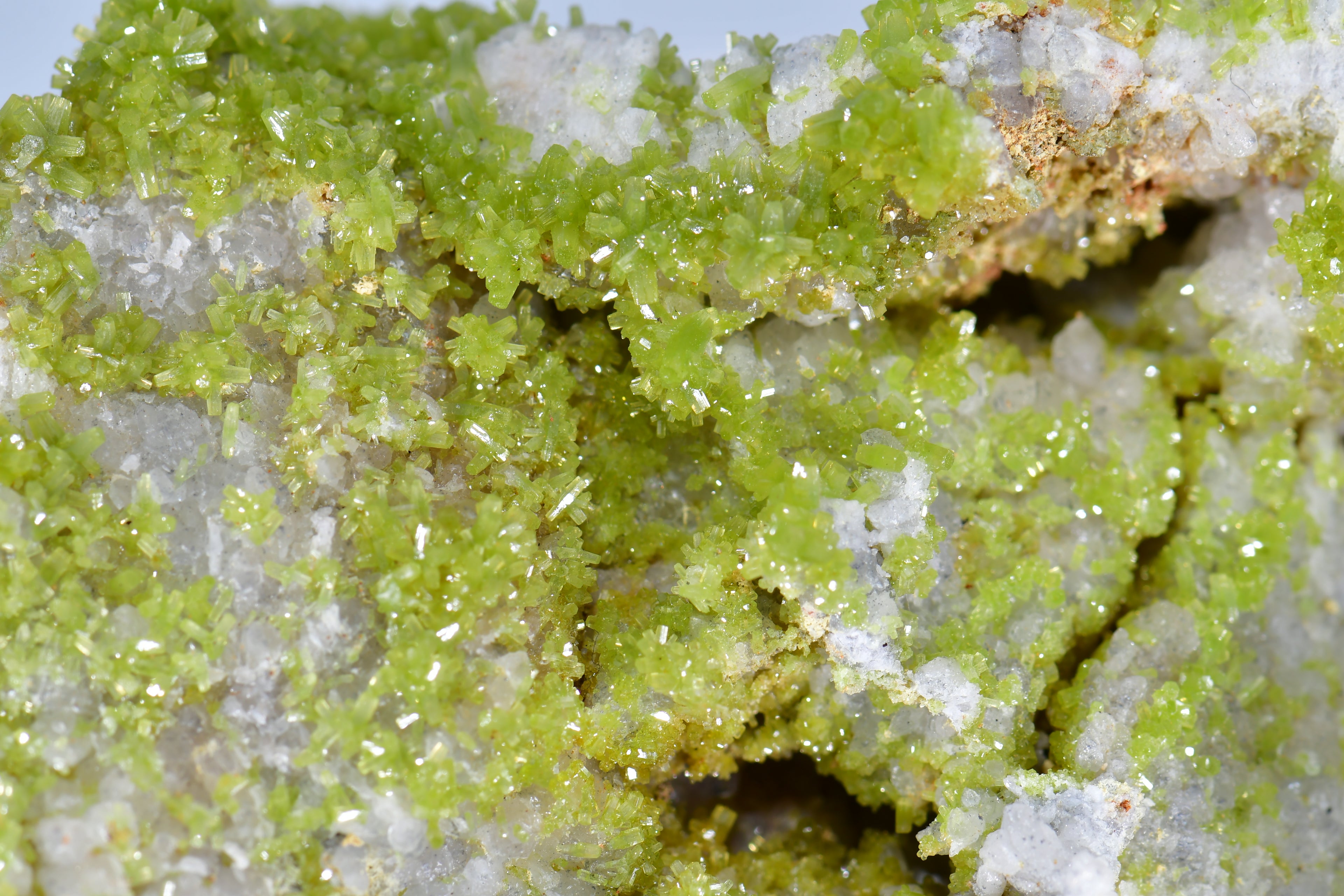 PYROMORPHITE (THOUSANDS OF BRIGHT GREEN CRYSTALS) (large cabinet)