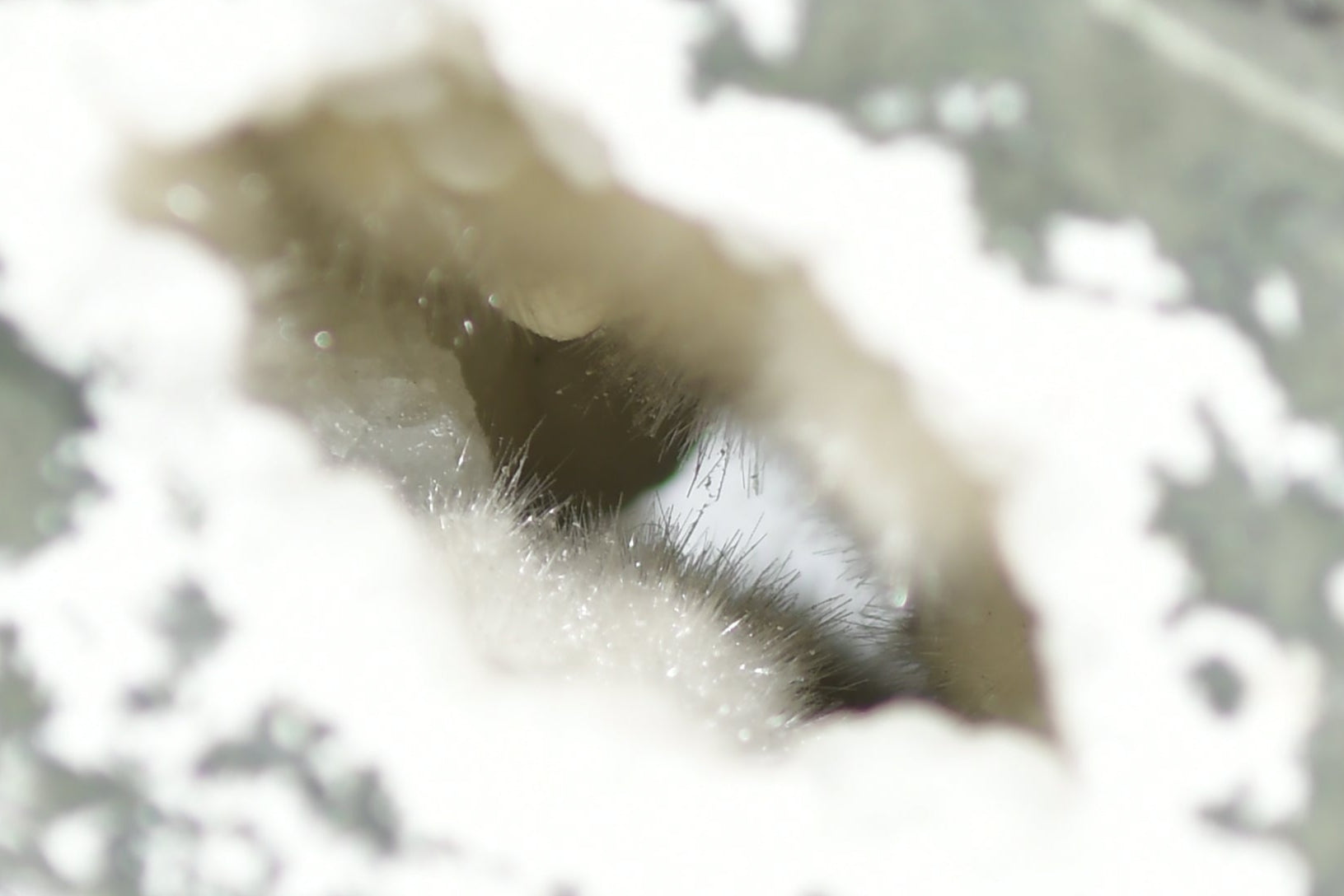 OKENITE, ARAGONITE GEODE