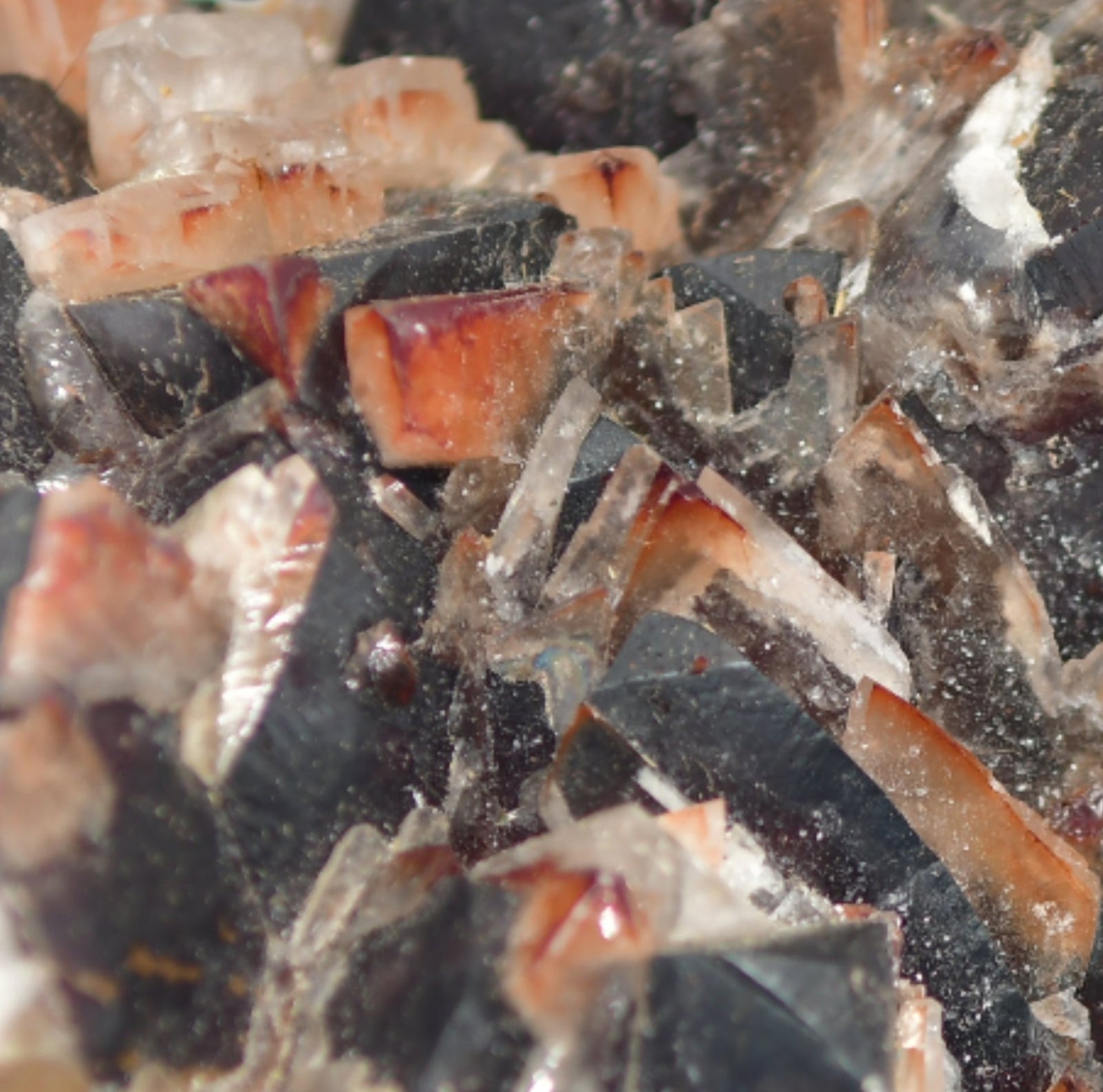 FLUORITE (RED HEMATITE PHANTOM FLUORITE) OVER DARK REDDISH FLUORITE (large cabinet)