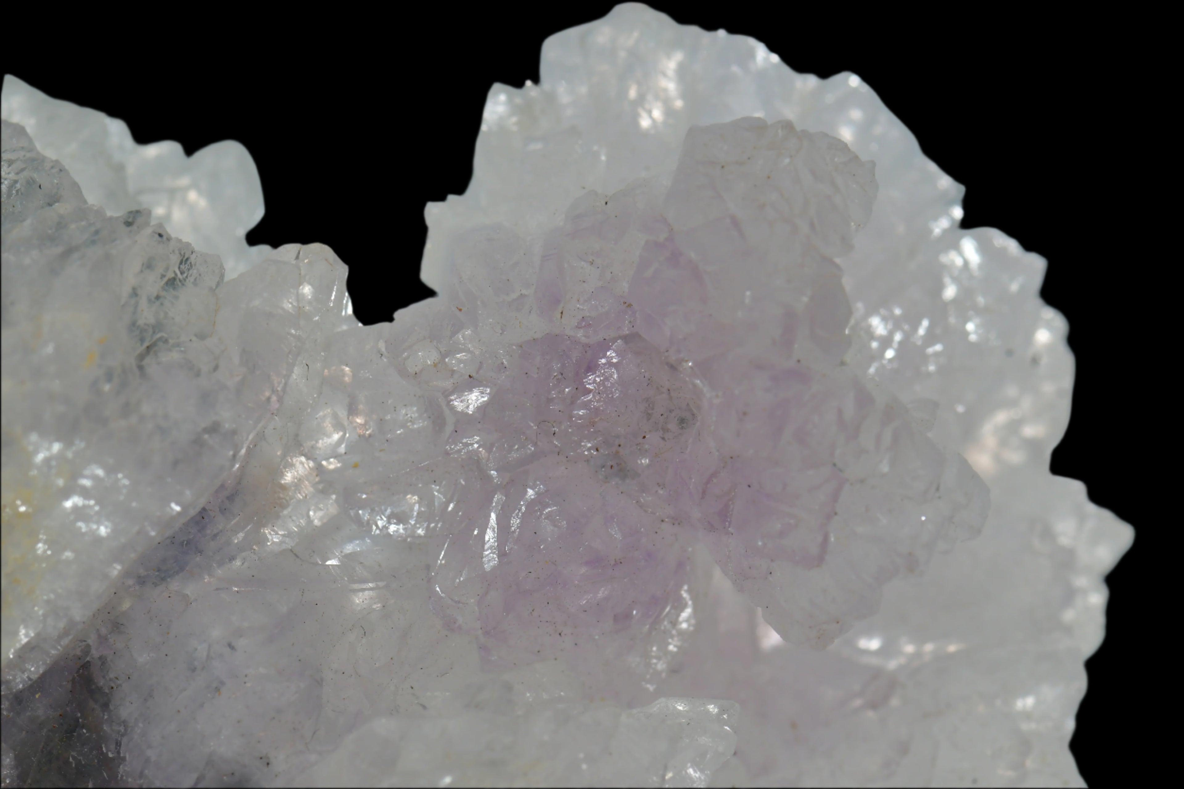AMETHYST flower, purple (LARGE CABINET 20 cm ) QUARTZ
