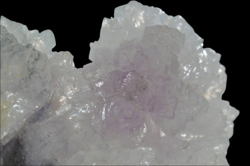 Fleur d'améthyste, violette (GRANDE VITRINE 20 cm) QUARTZ, Iraí Rio Grande do Sul BRÉSIL, Ancienne collection MT MINERAL NY USA #2180380083 (Madison Ave)
