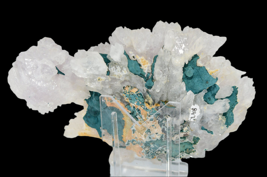 AMETHYST flower, purple (LARGE CABINET 20 cm ) QUARTZ