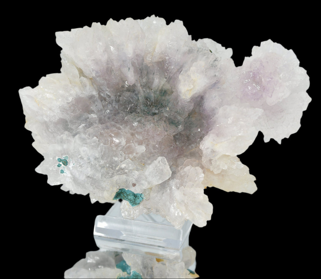 AMETHYST flower, purple (LARGE CABINET 20 cm ) QUARTZ