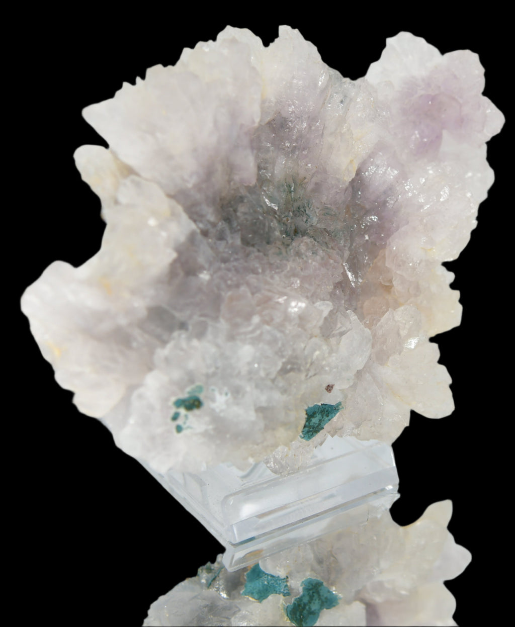 AMETHYST flower, purple (LARGE CABINET 20 cm ) QUARTZ