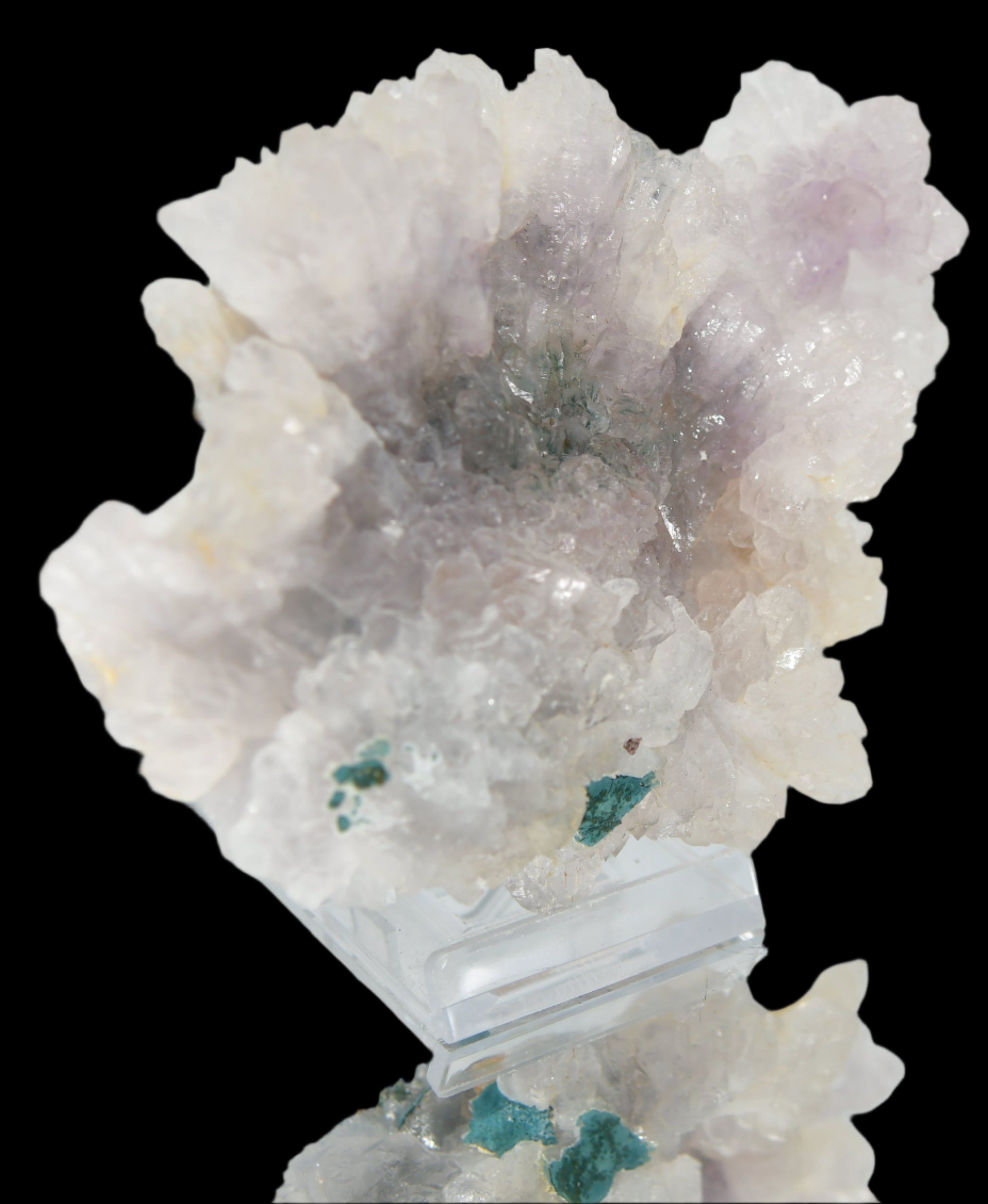 AMETHYST flower, purple (LARGE CABINET 20 cm ) QUARTZ